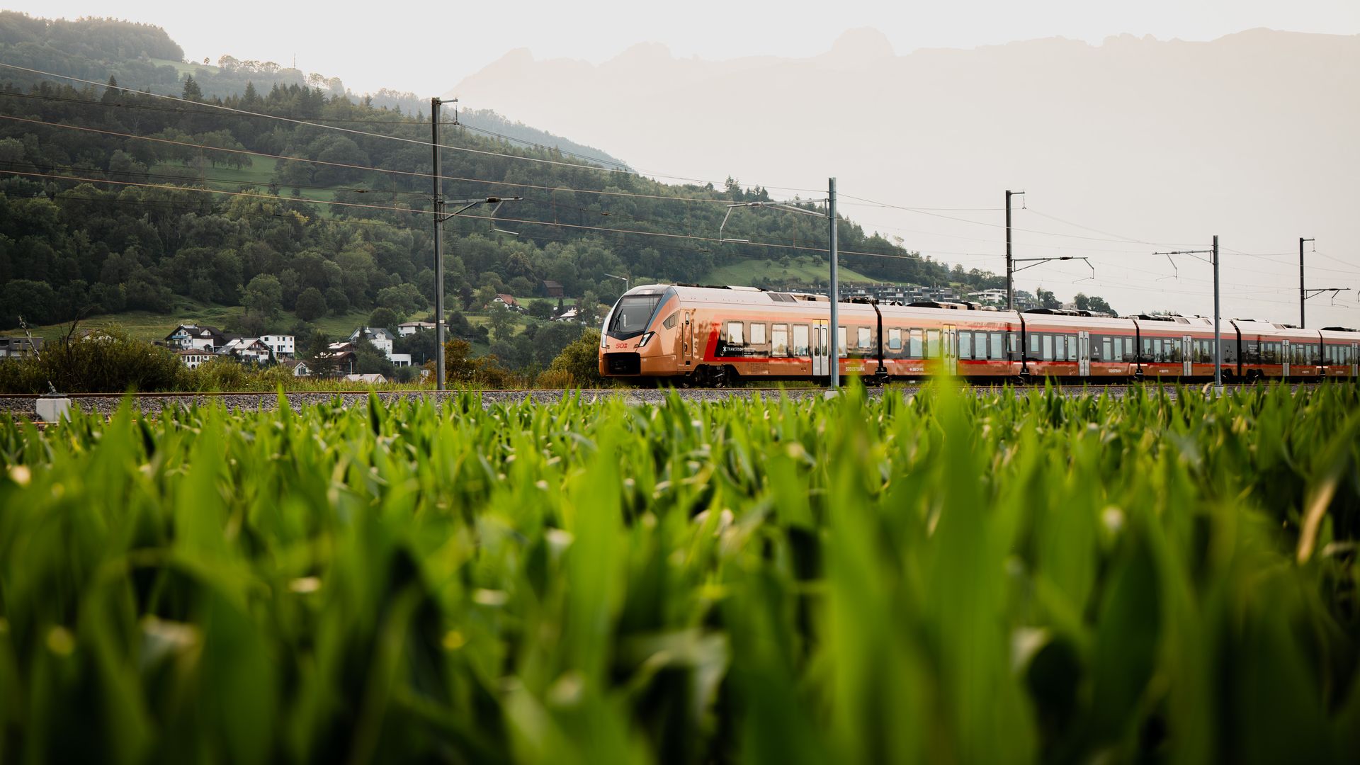 Der Alpenrhein-Express unterwegs im Rheintal.