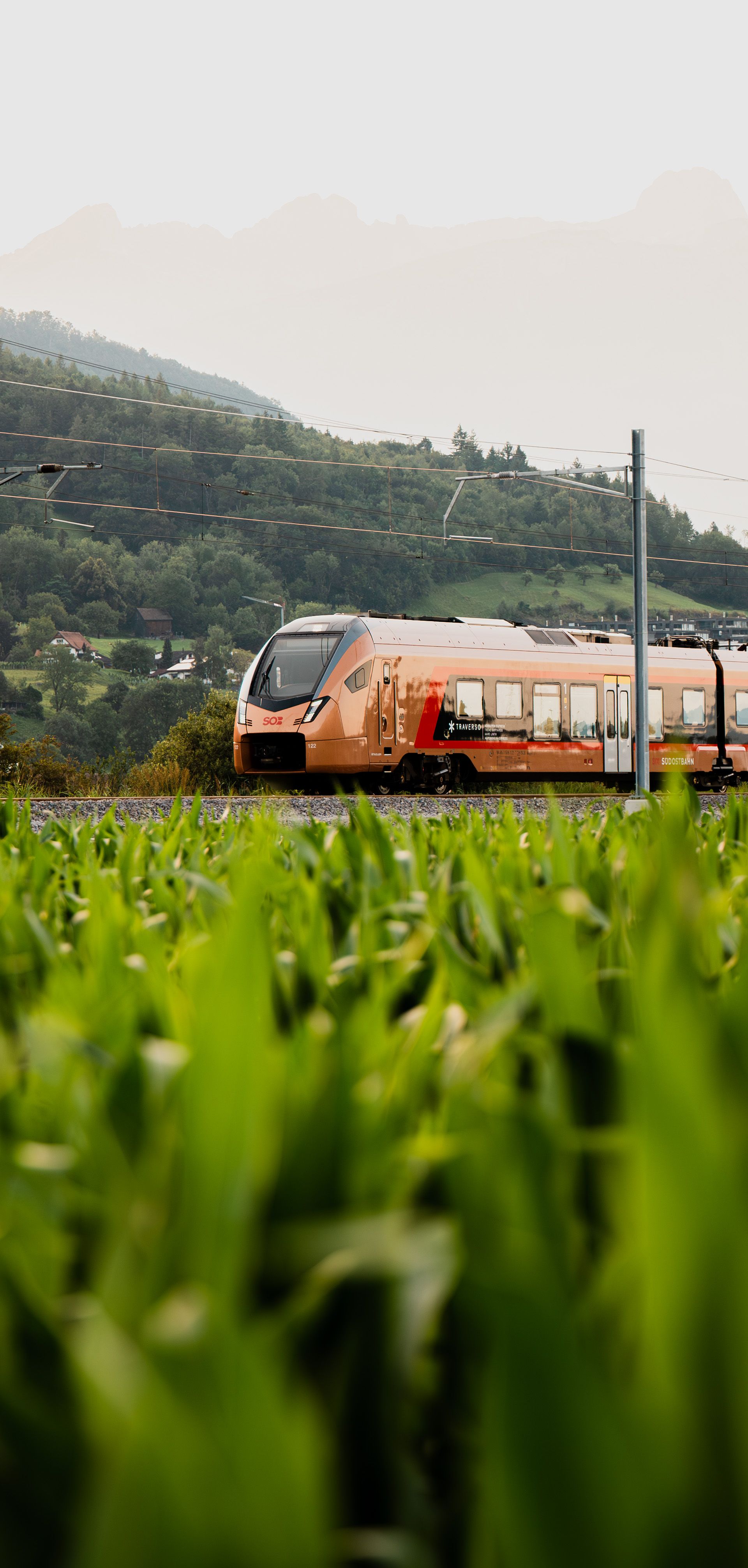 Der Alpenrhein-Express unterwegs im Rheintal.