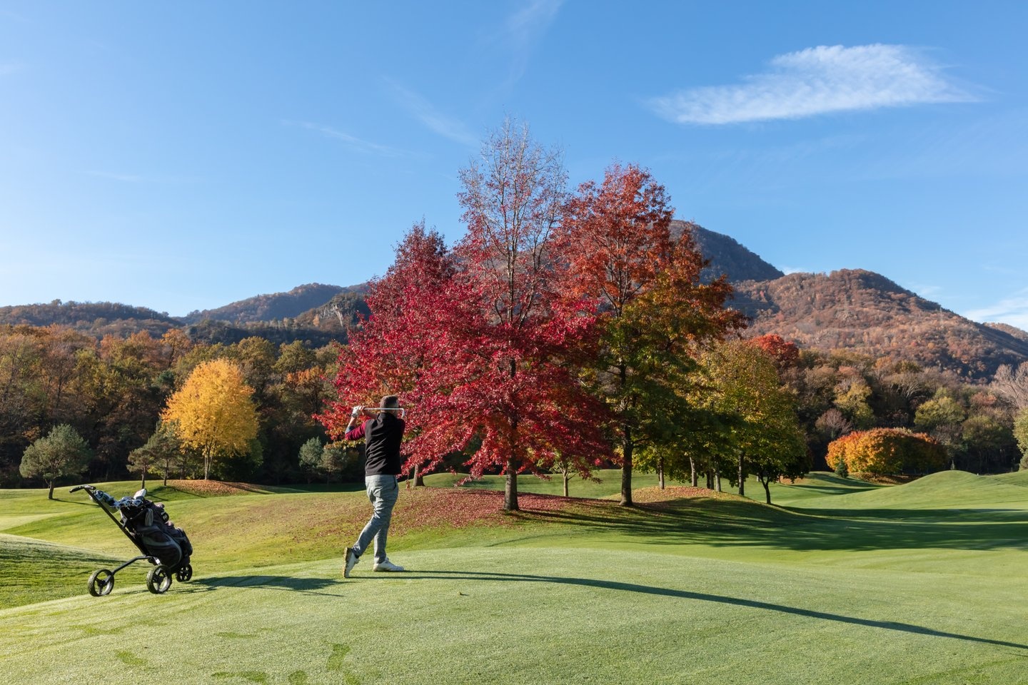 Golf Ascona