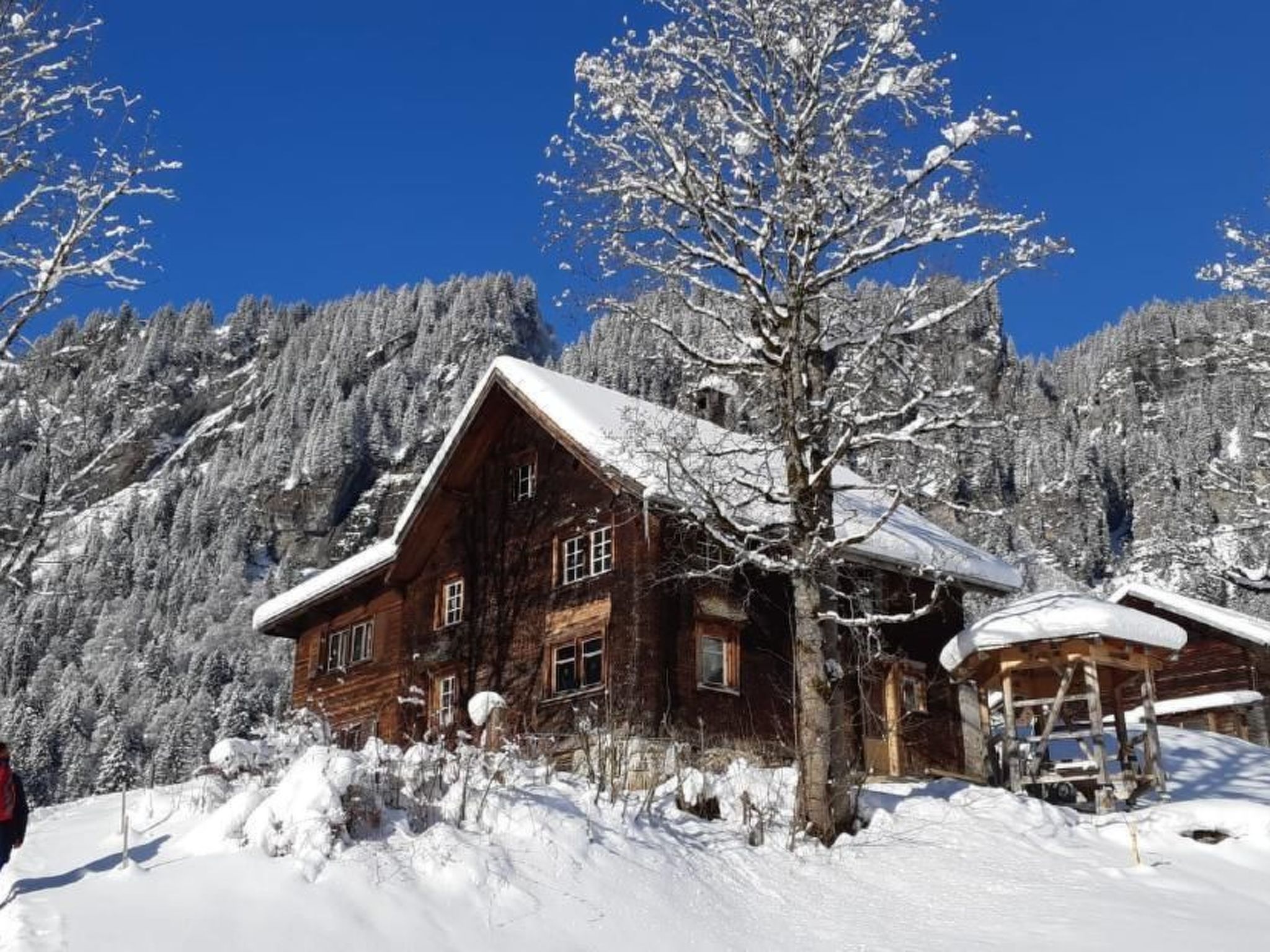 interhome-Rietberg 8 Braunwald