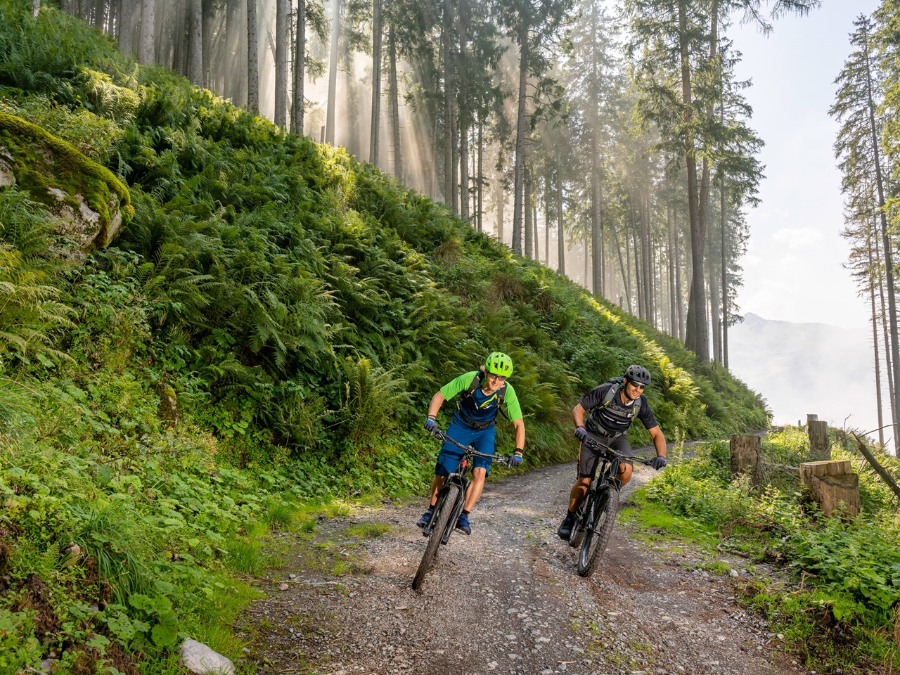 mys-Edelweiss "Plättli" Tour (E-Bike)-import_af64f6a0-caa0-4318-a5f0-4e47c11fa629.jpg