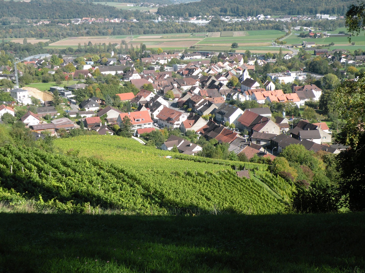 Römerrebberg Schinznach-Dorf