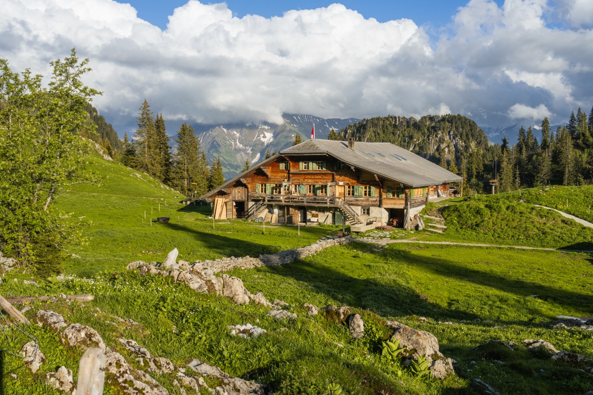 Berggasthaus Oberstockenalp - Erlenbach