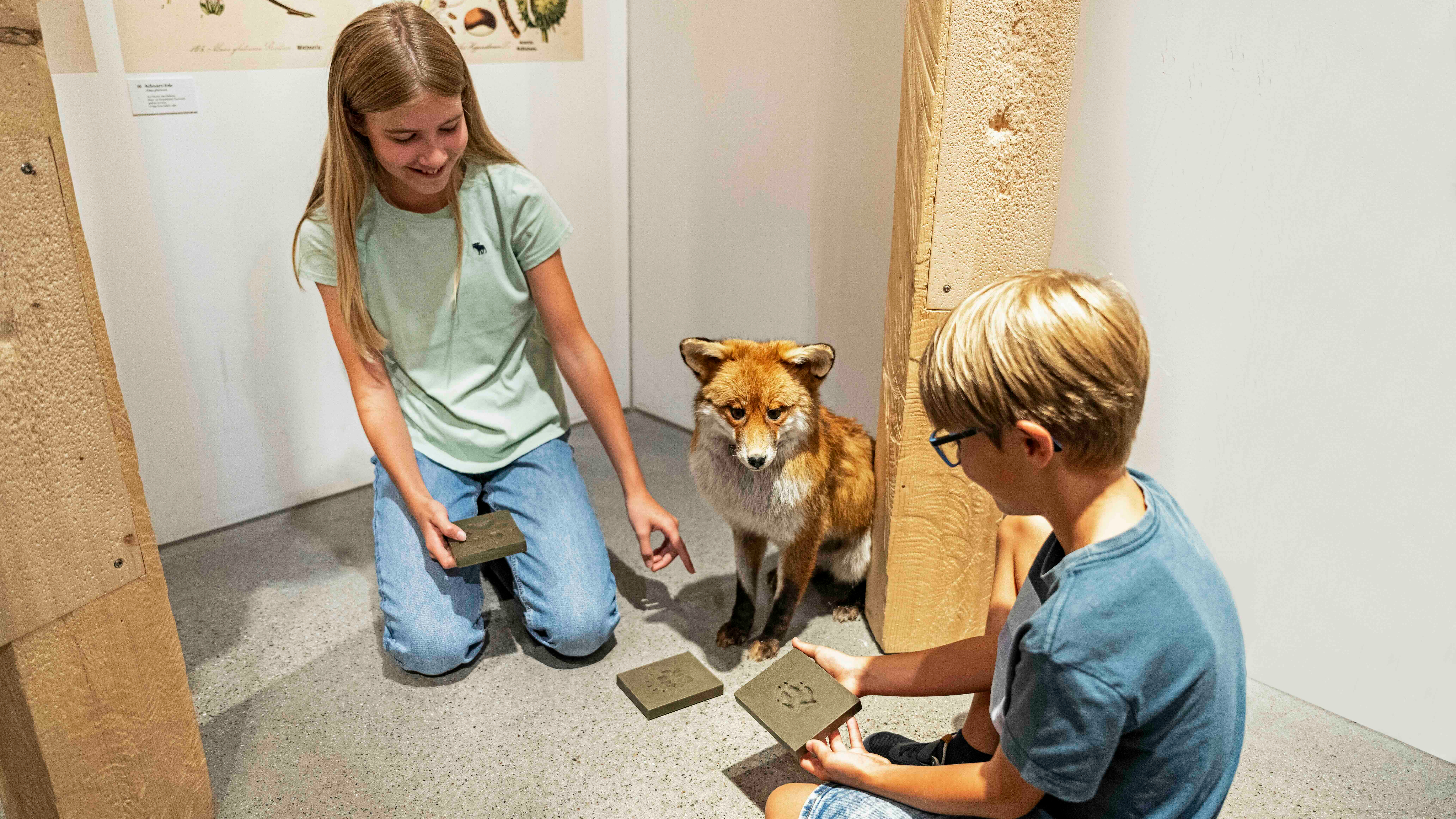 Tierische Spurensuche im Naturmuseum