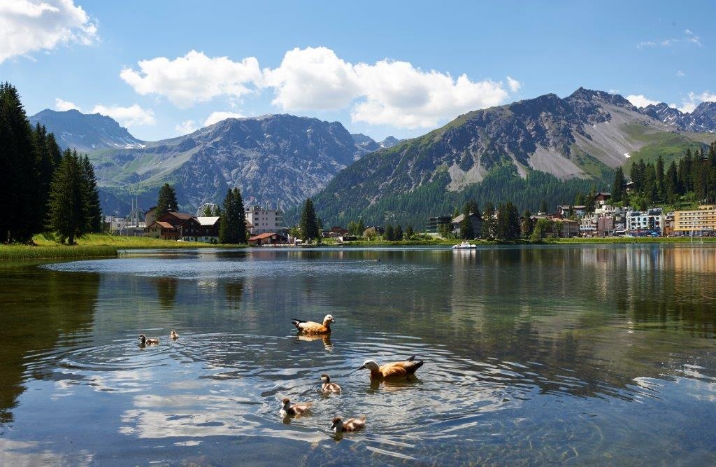 Obersee