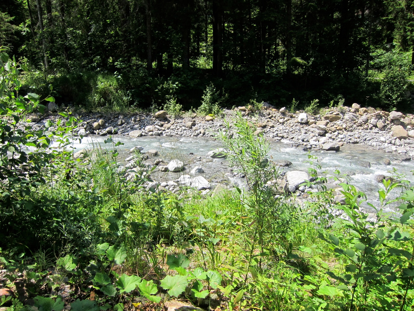 Bewegungsraum Isenthal Isitalerbach