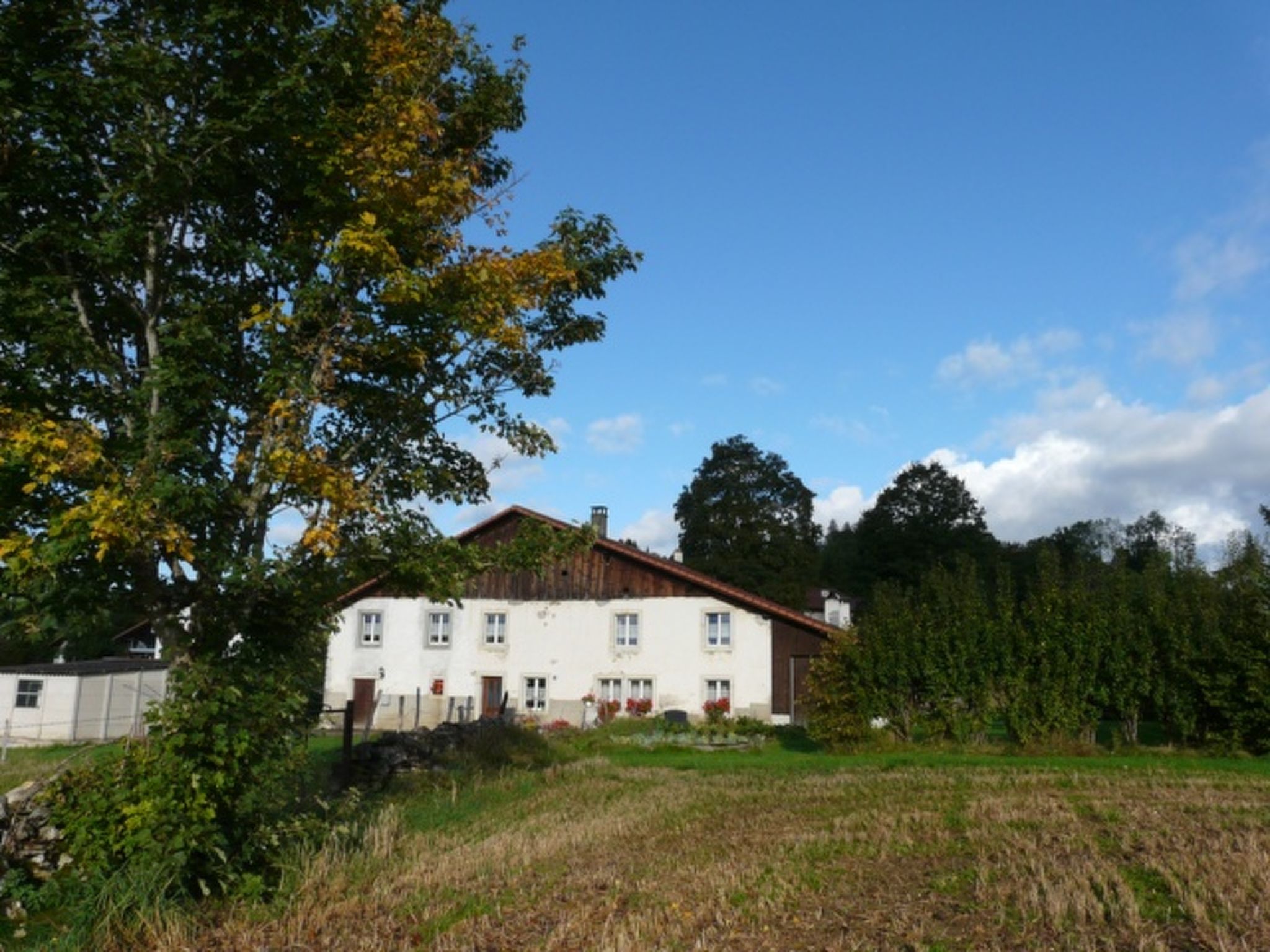 interhome-Appartement - Sur la Chenevière, (Le Bemont),