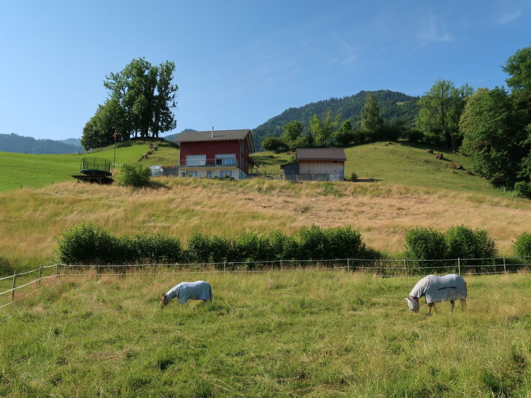 interhome-Luxenweid