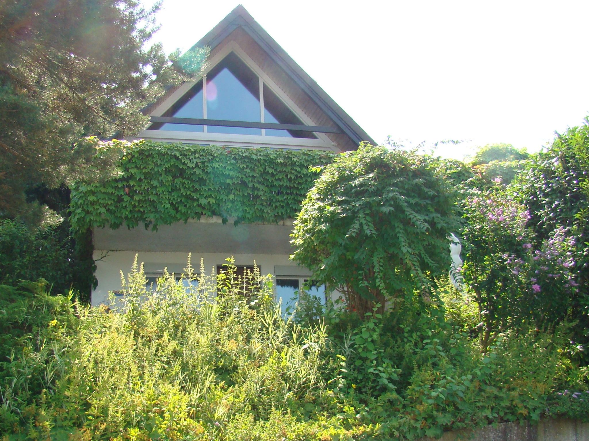 interhome-Wohlfühloase
