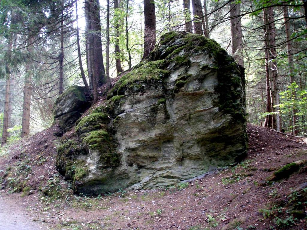 Bergsturzblöcke im Grosswald