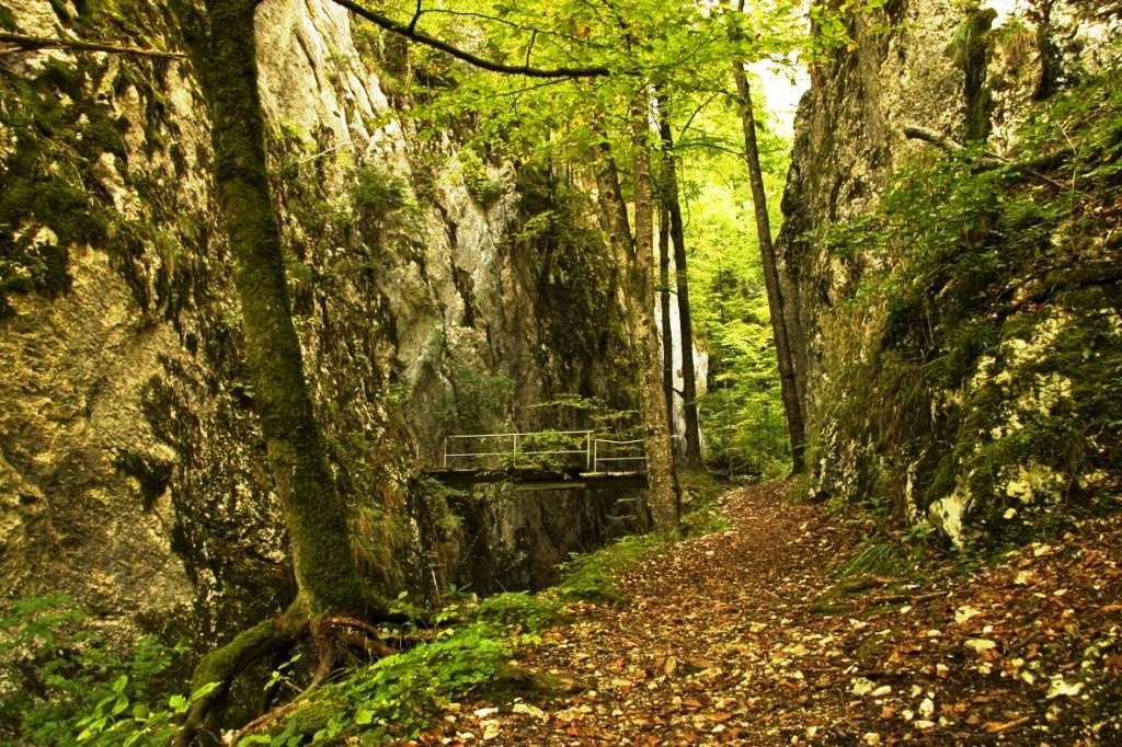 Gola del lupo