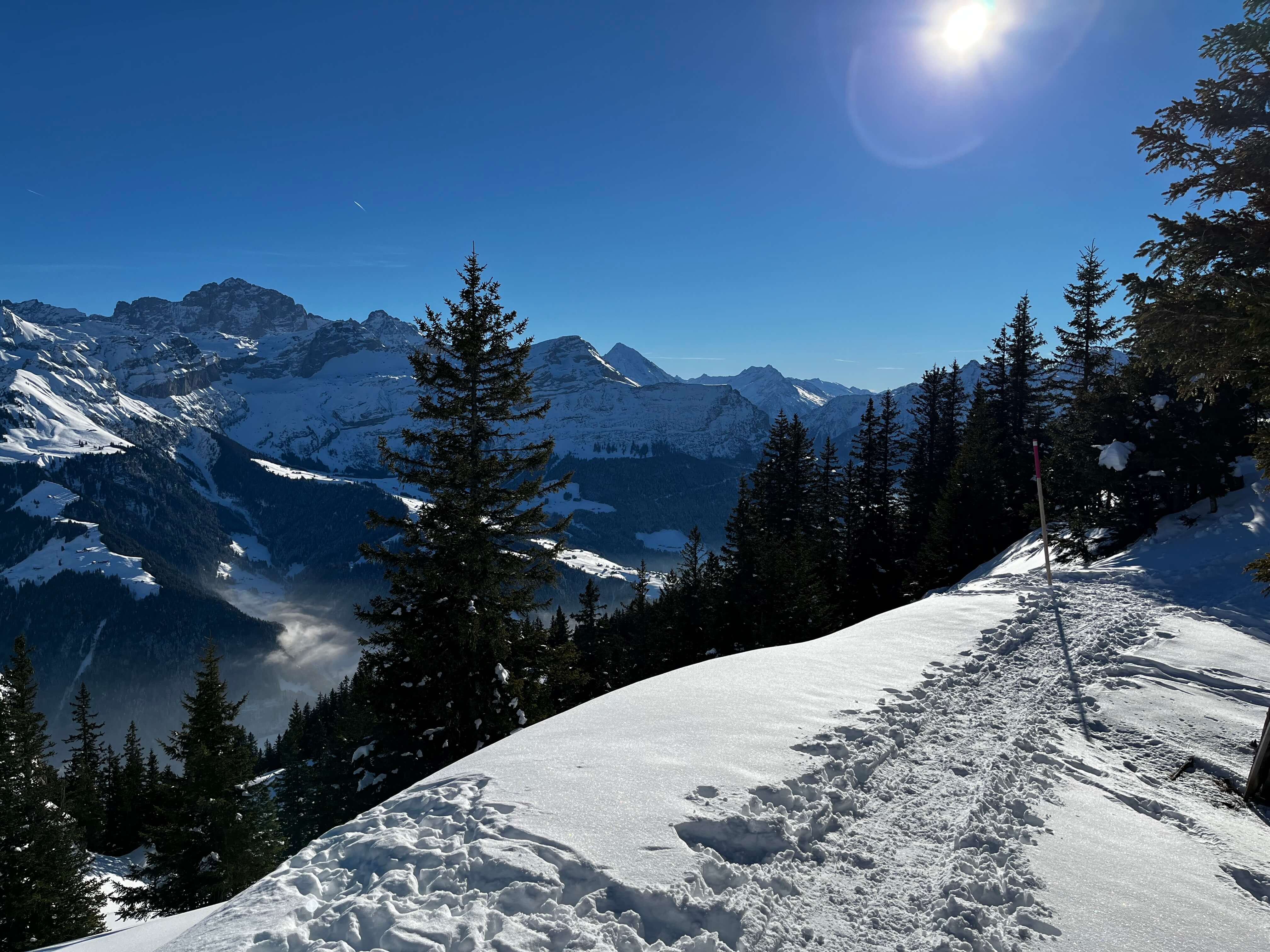 mys-Honigberg.ch-Winterwunderland Eggberge