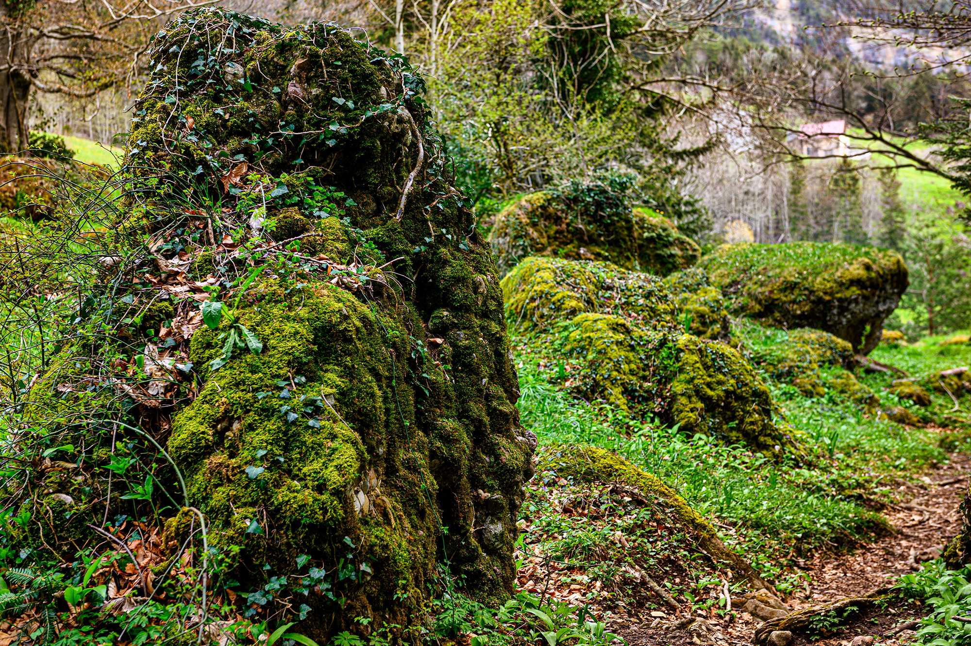 Bergsturz von Goldau