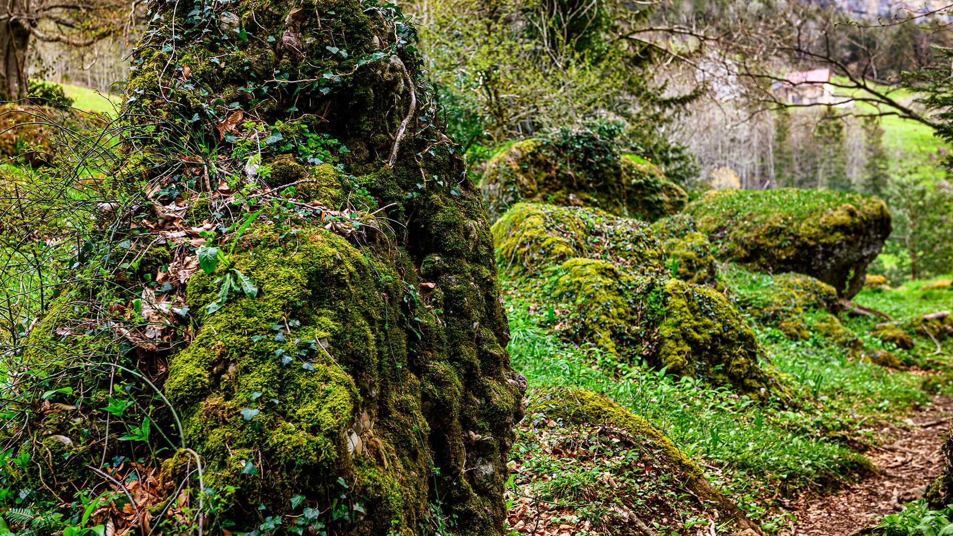 Bergsturz von Goldau