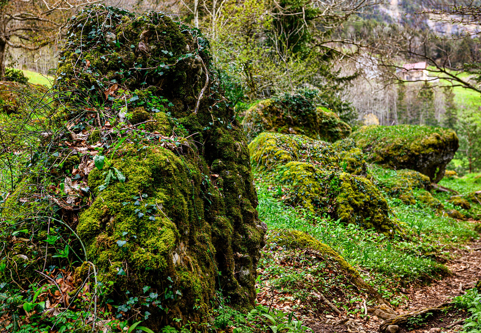Bergsturz von Goldau