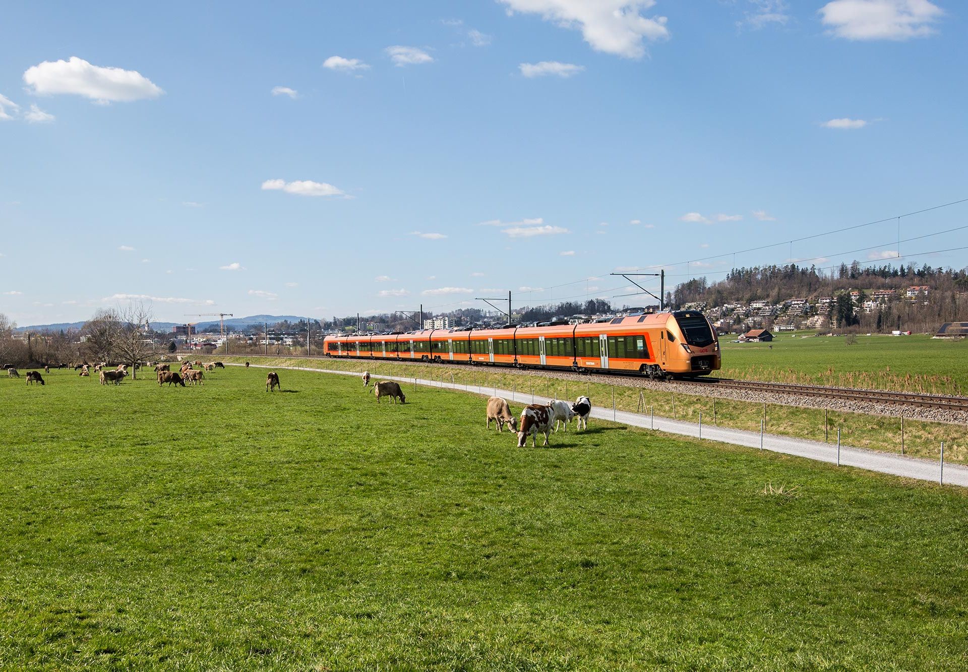 Voralpen-Express unterwegs in Bollingen