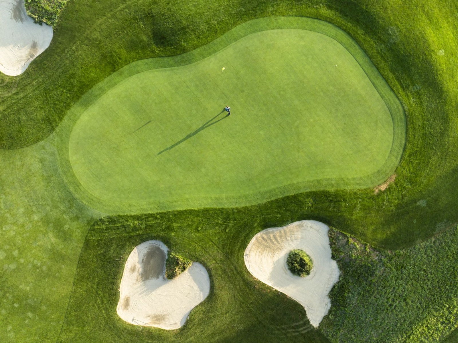 Buna Vista Golf, Sagogn