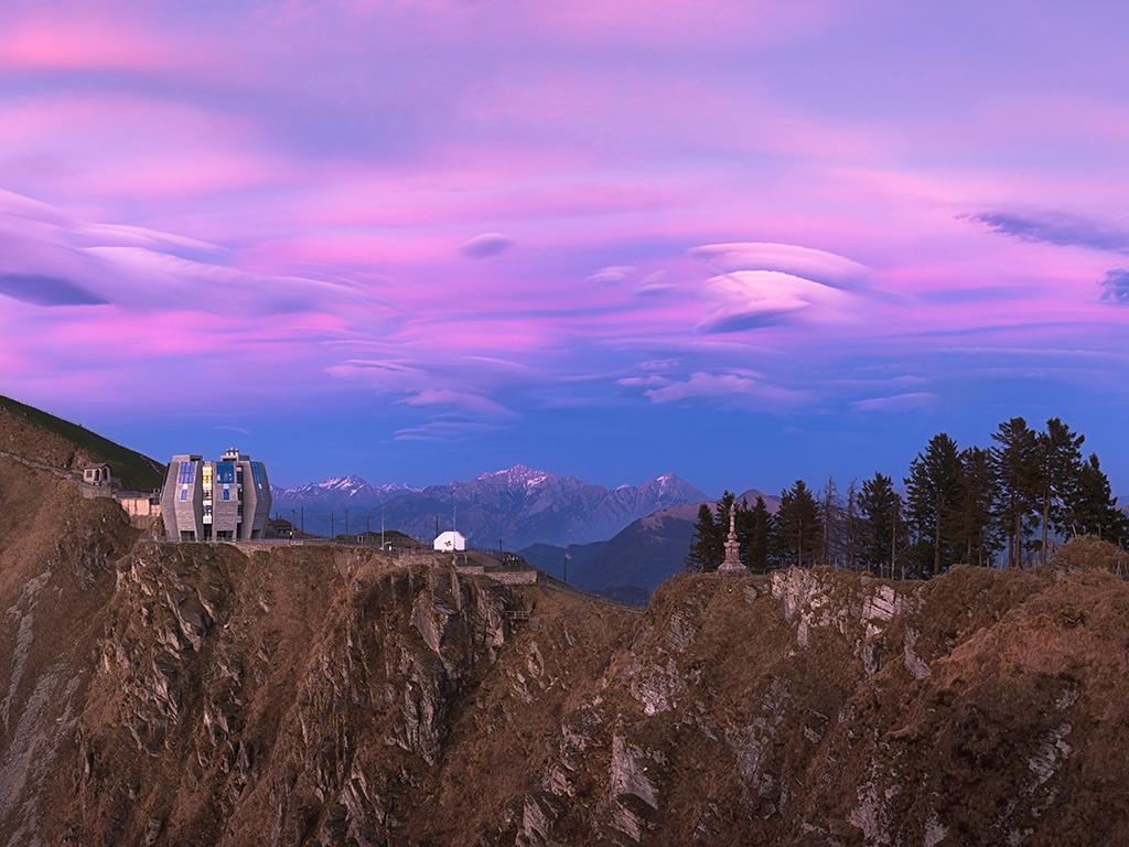 Steinblume - Monte Generoso