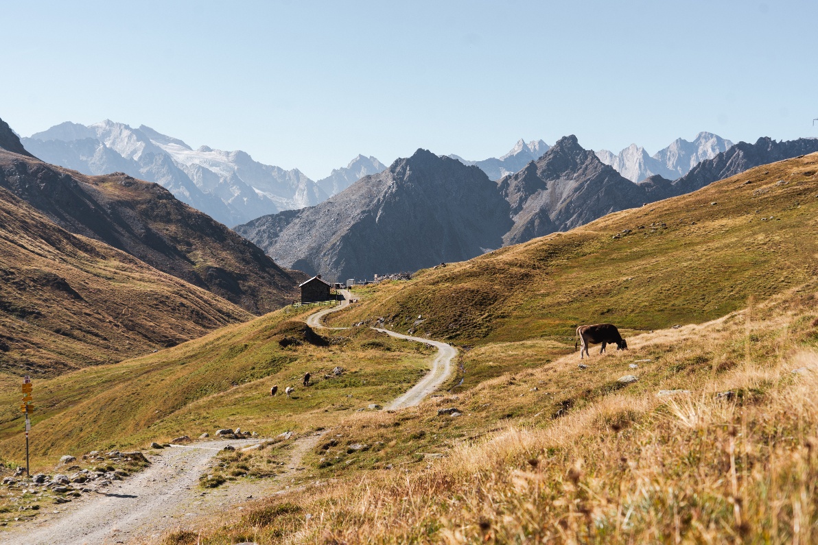 Via Sett: Septimerpass