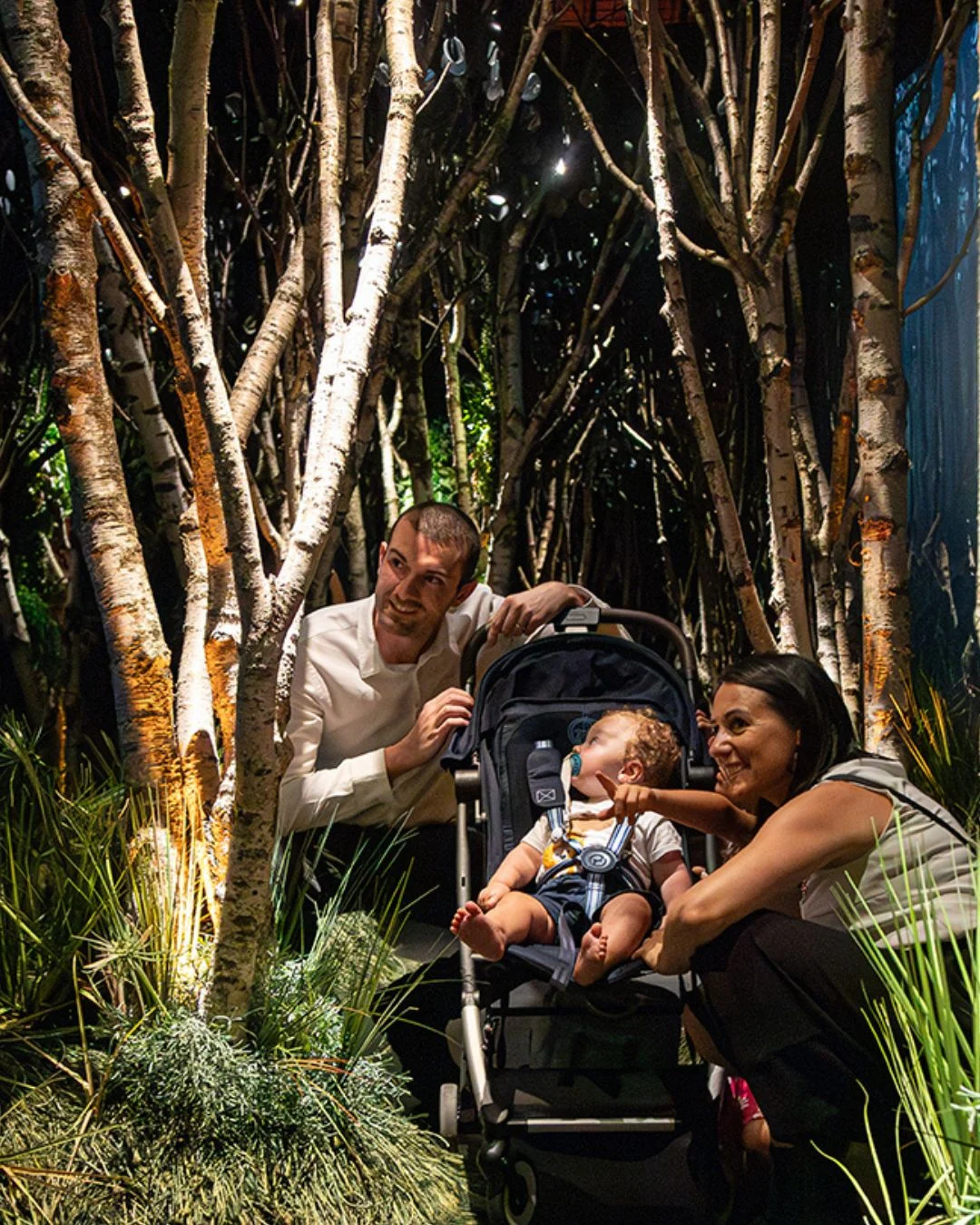 mys-The Sense Gallery - Museo 3.0 a Mendrisio (Svizzera)-Foresta Incantata