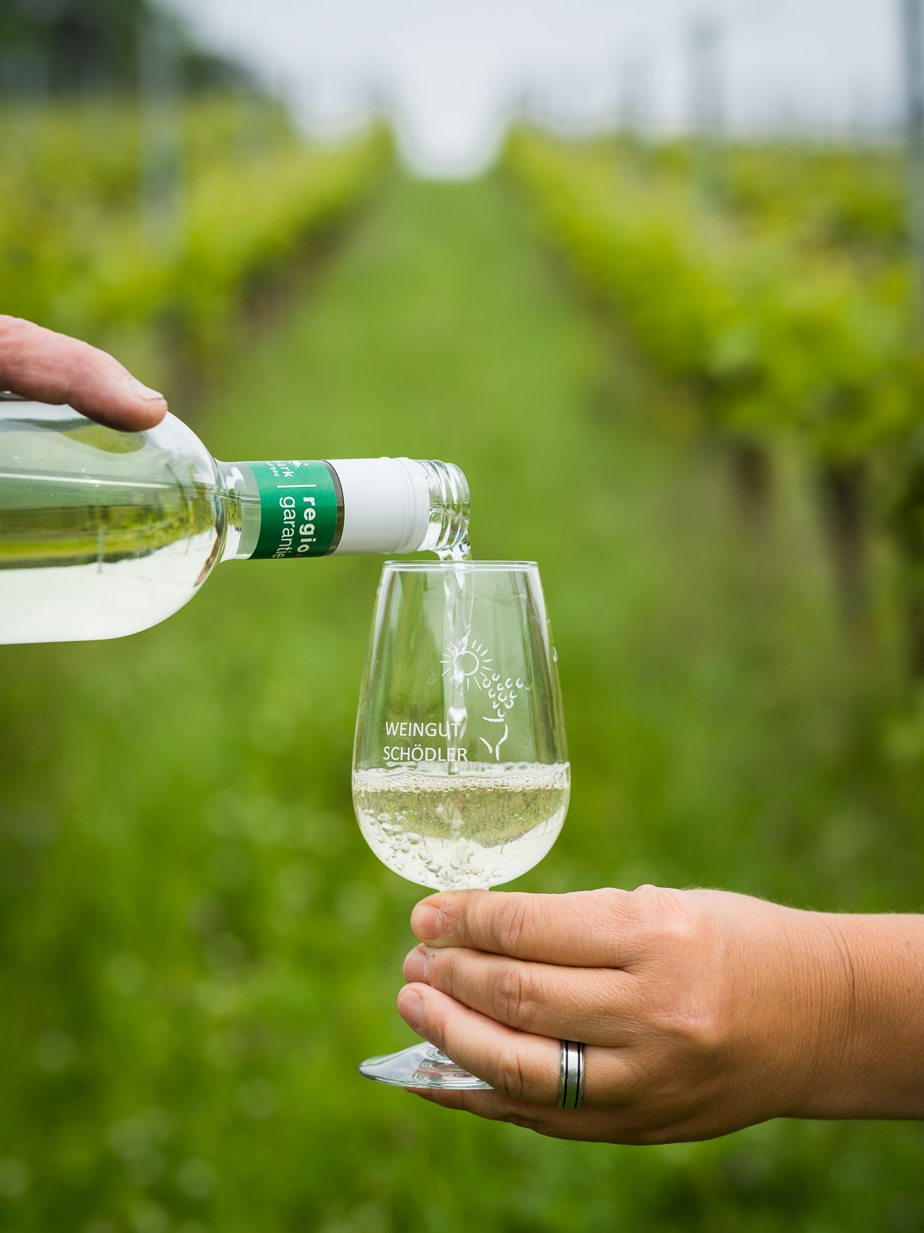 Roman vineyard Villigen