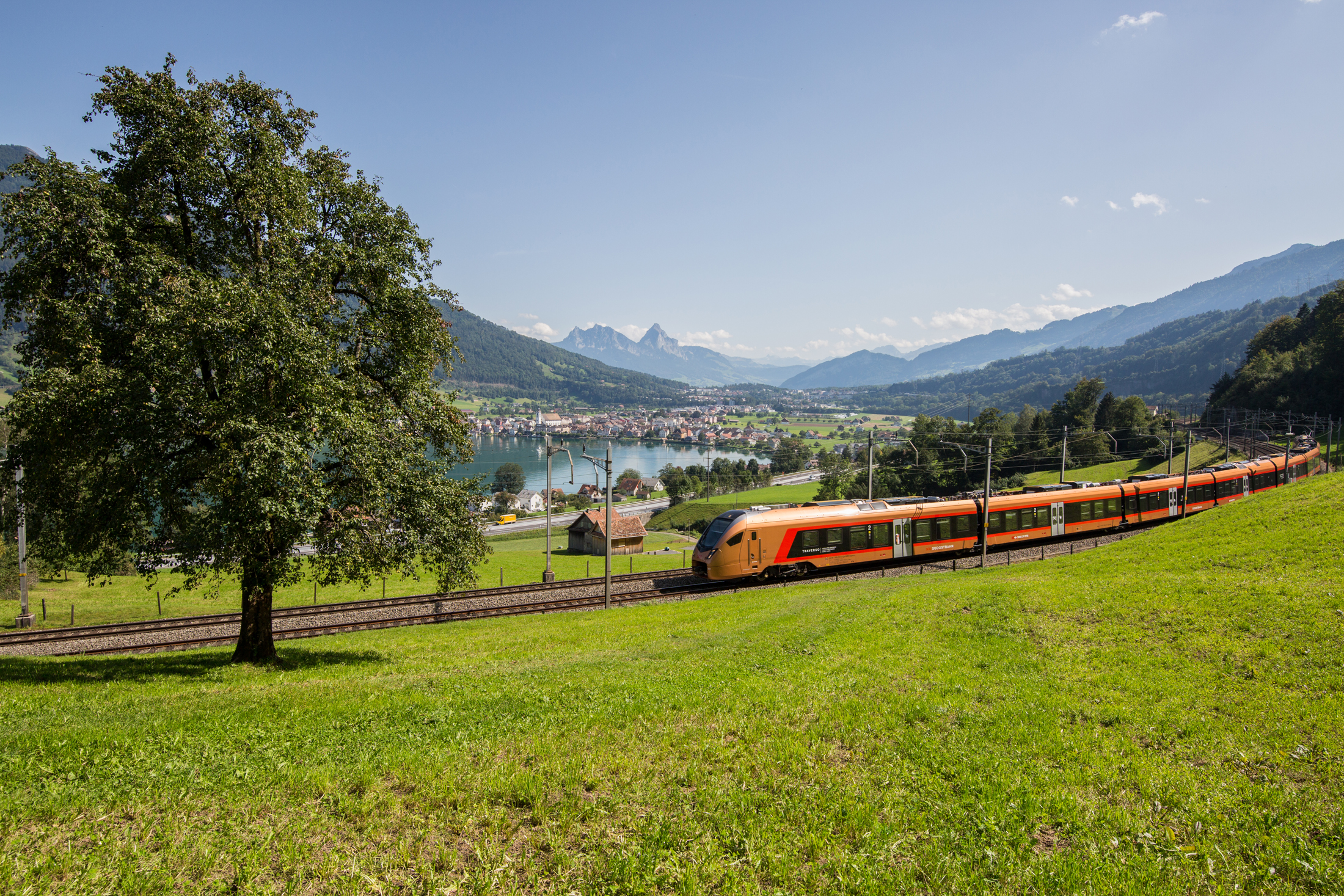 Kupferfarbener Zug fährt hinter grüner Wiese und vor See durch
