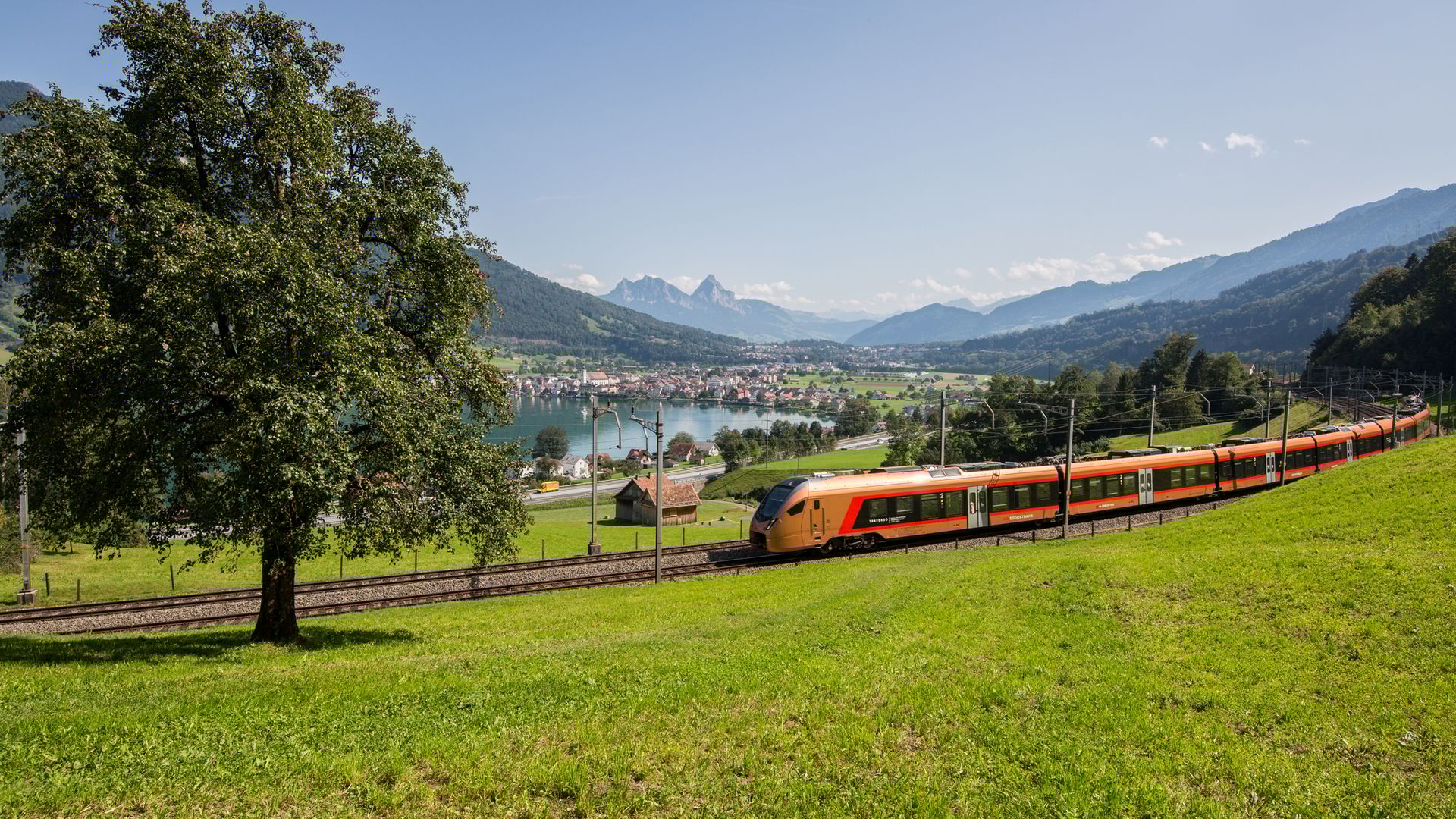 Kupferfarbener Zug fährt hinter grüner Wiese und vor See durch