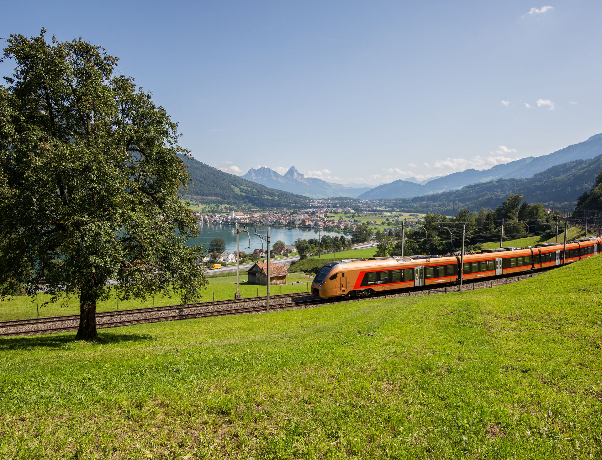 Kupferfarbener Zug fährt hinter grüner Wiese und vor See durch