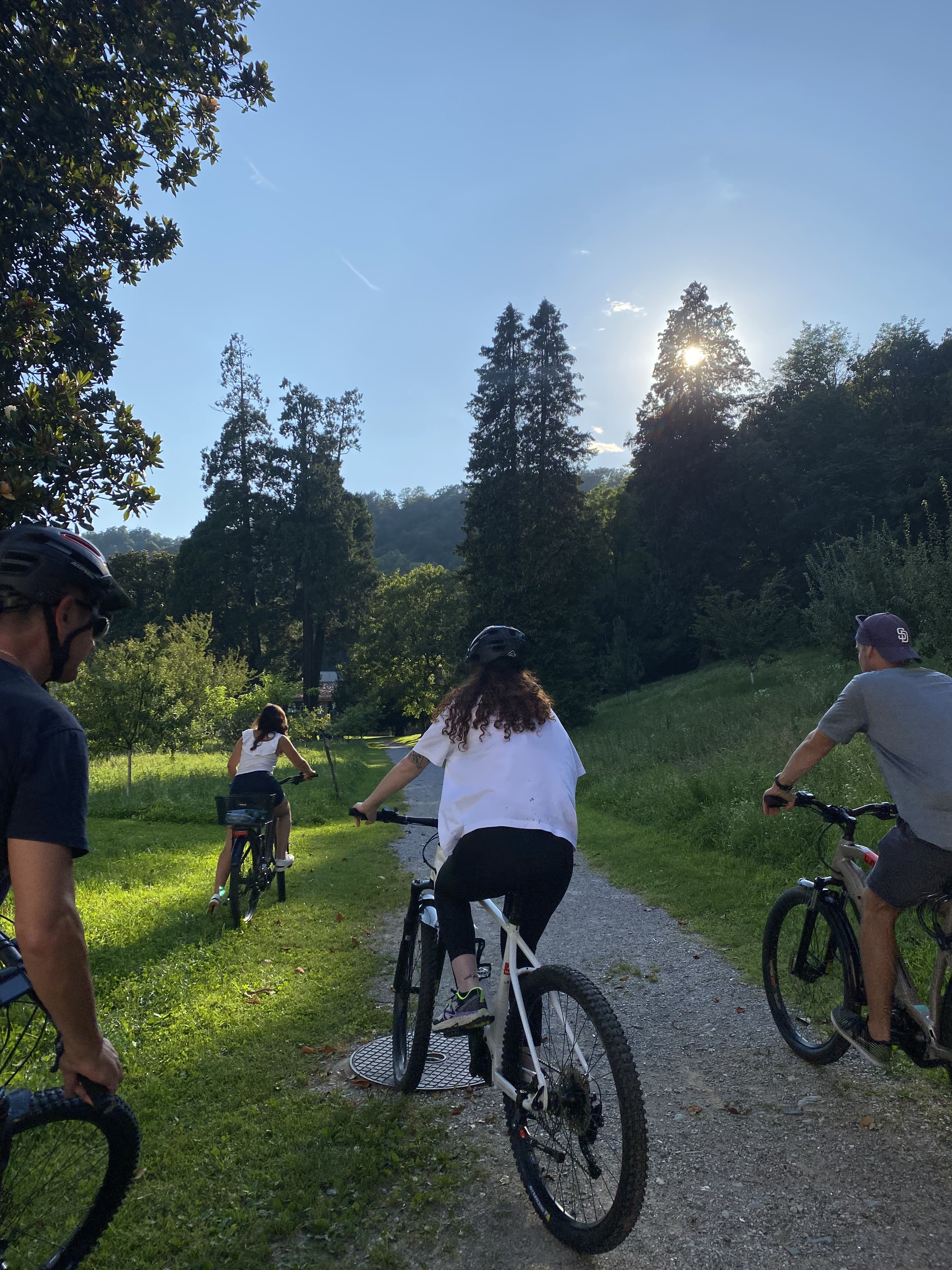 mys-Cantine Aperte in WINE UP! – Luganese e Collina d'Oro 17.05.2026-E-bike Tour
