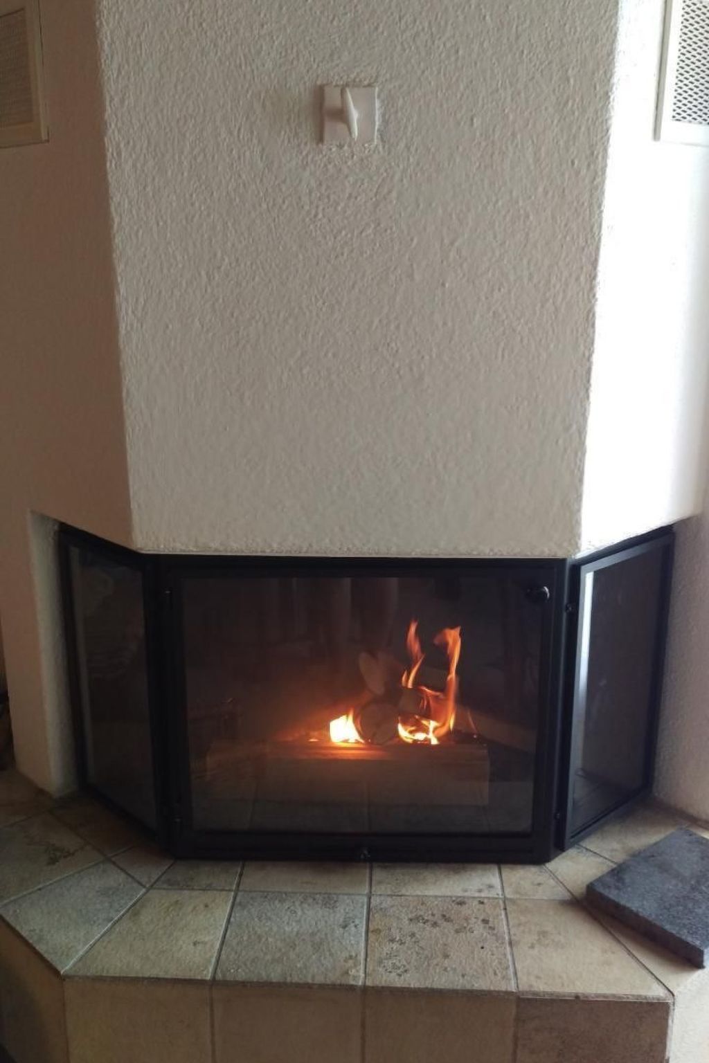 interhome-Birke