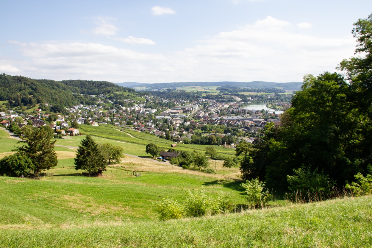 Hönger