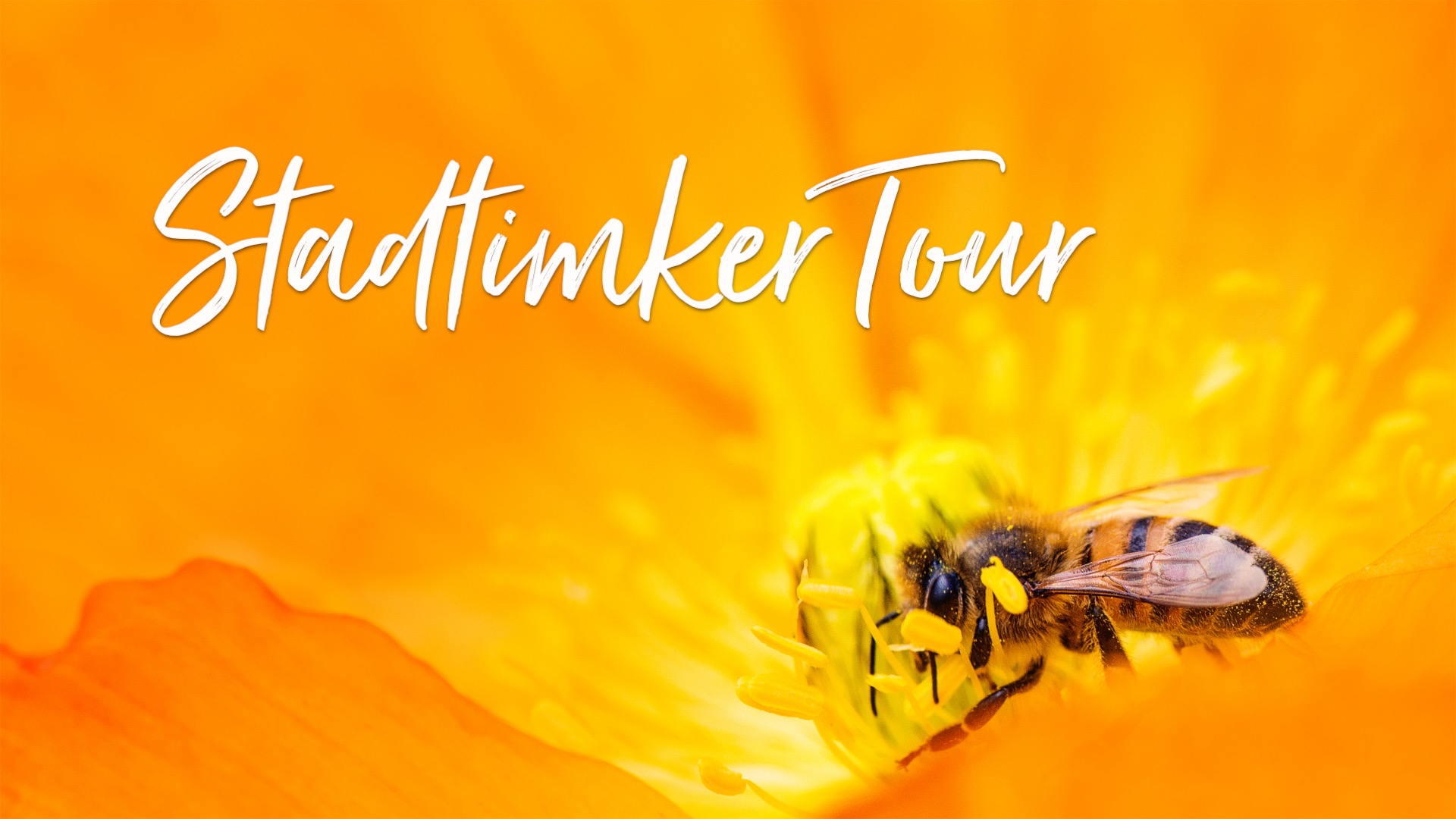mys-Stadtimker-Tour -Stadtimker_Tour_Luzern.jpg