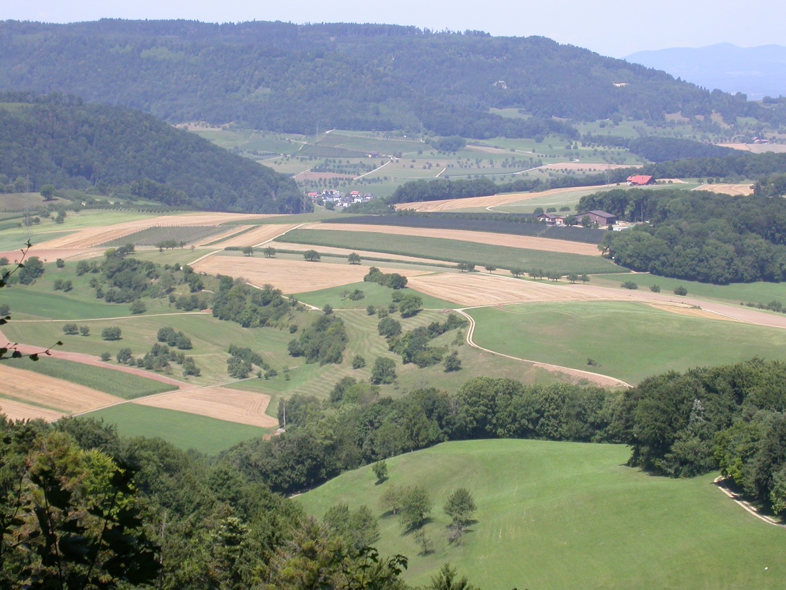 Fürberg