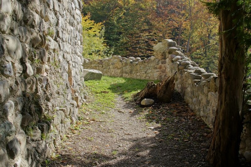 Ruine Neuburg
