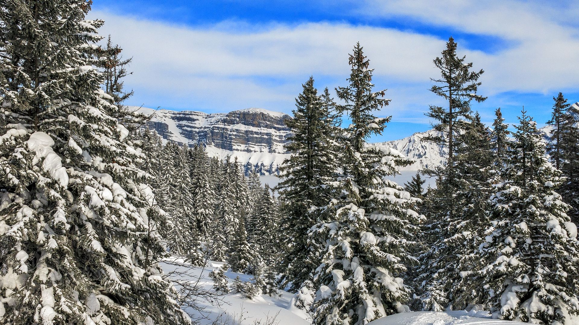 Schneeschuhtouren Aare Linth