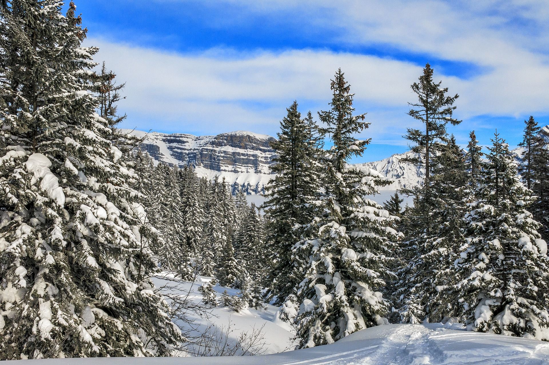 Schneeschuhtouren Aare Linth