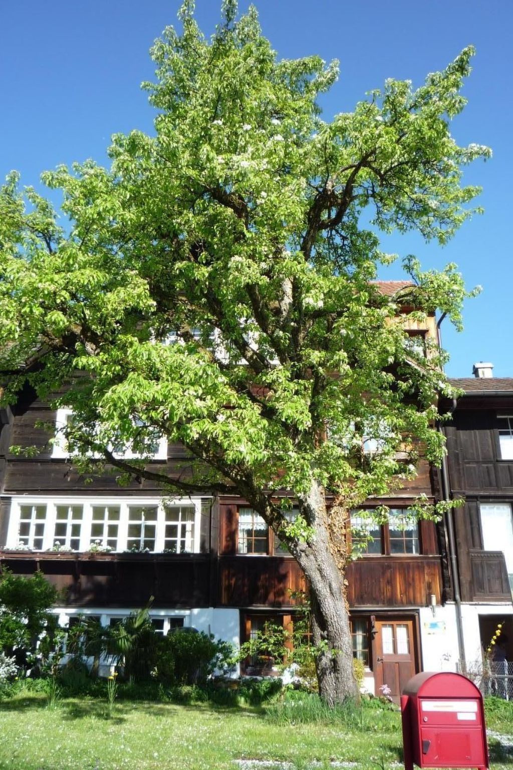 interhome-Appenzell House