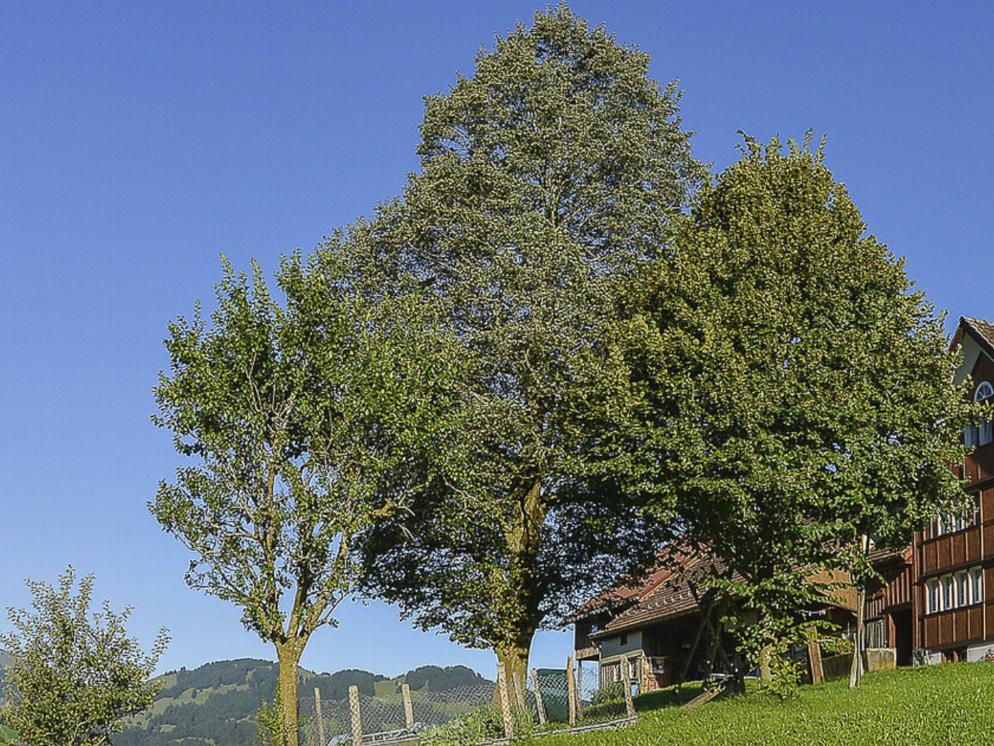 interhome-Ferien Alpsteinblick