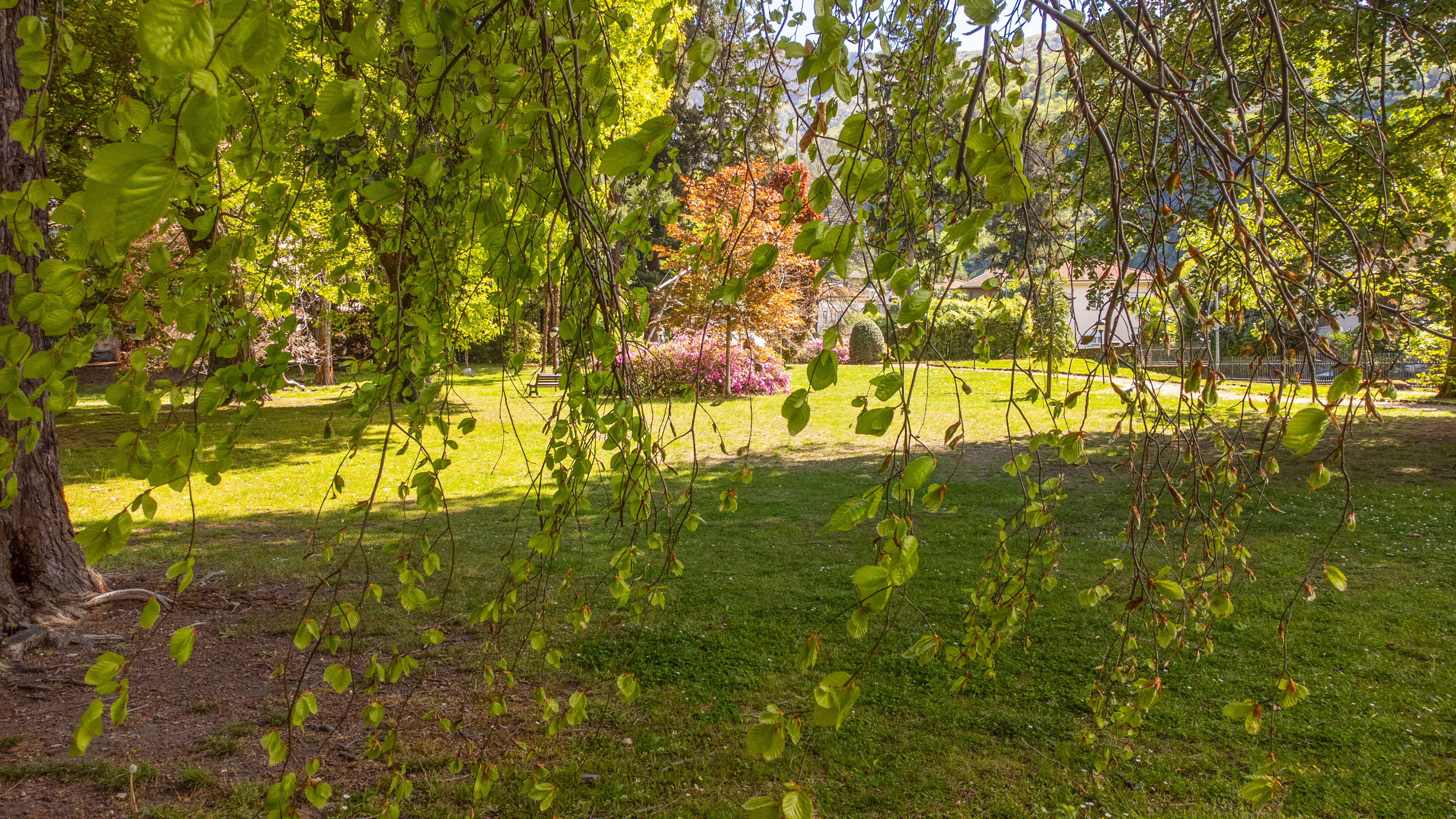 mys-1. August-Brunch im Park Villa dei Cedri-Parco