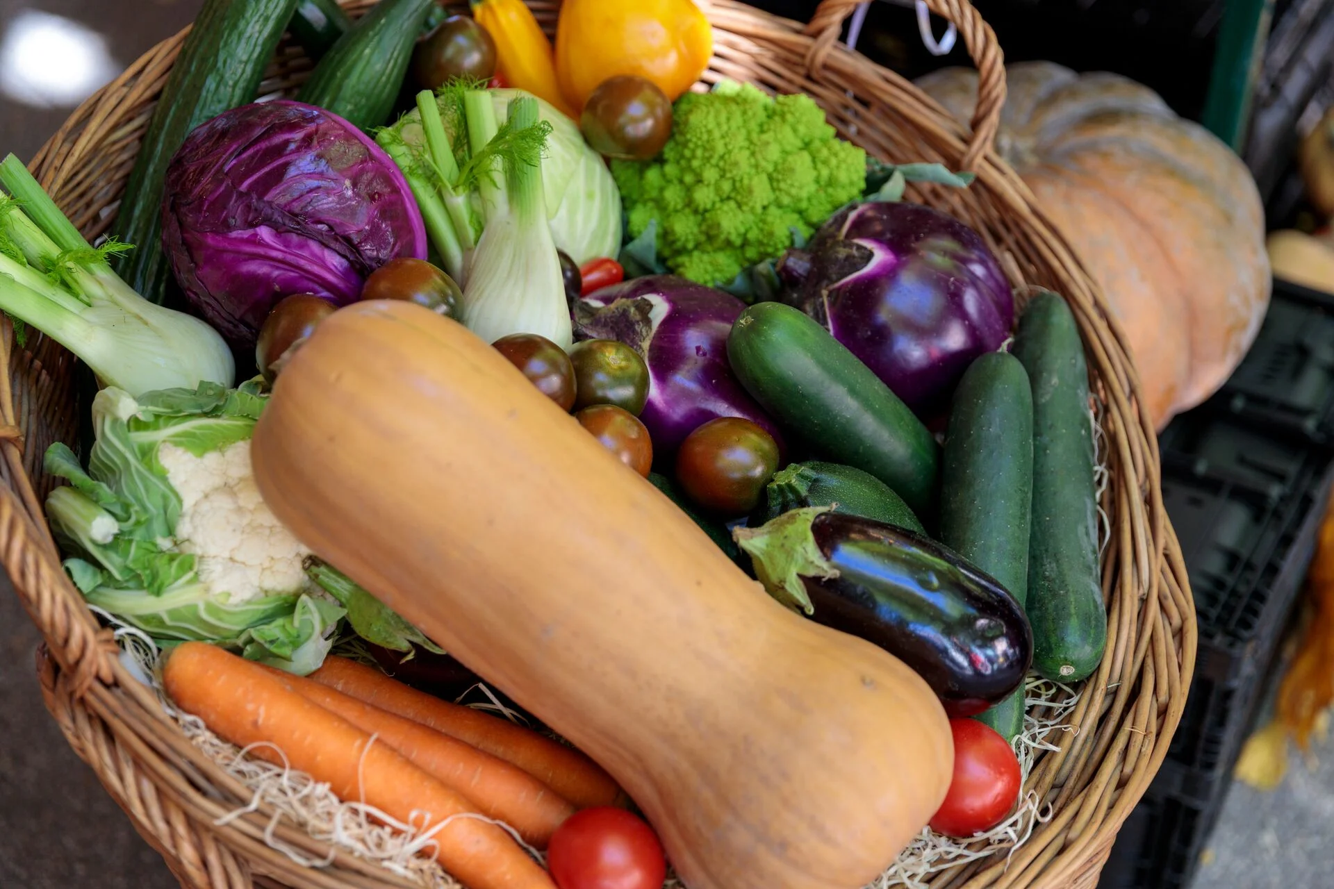mys-Agriesperienze d’Autunno: dove il gusto racconta il territorio-Agriesperienze d'Autunno