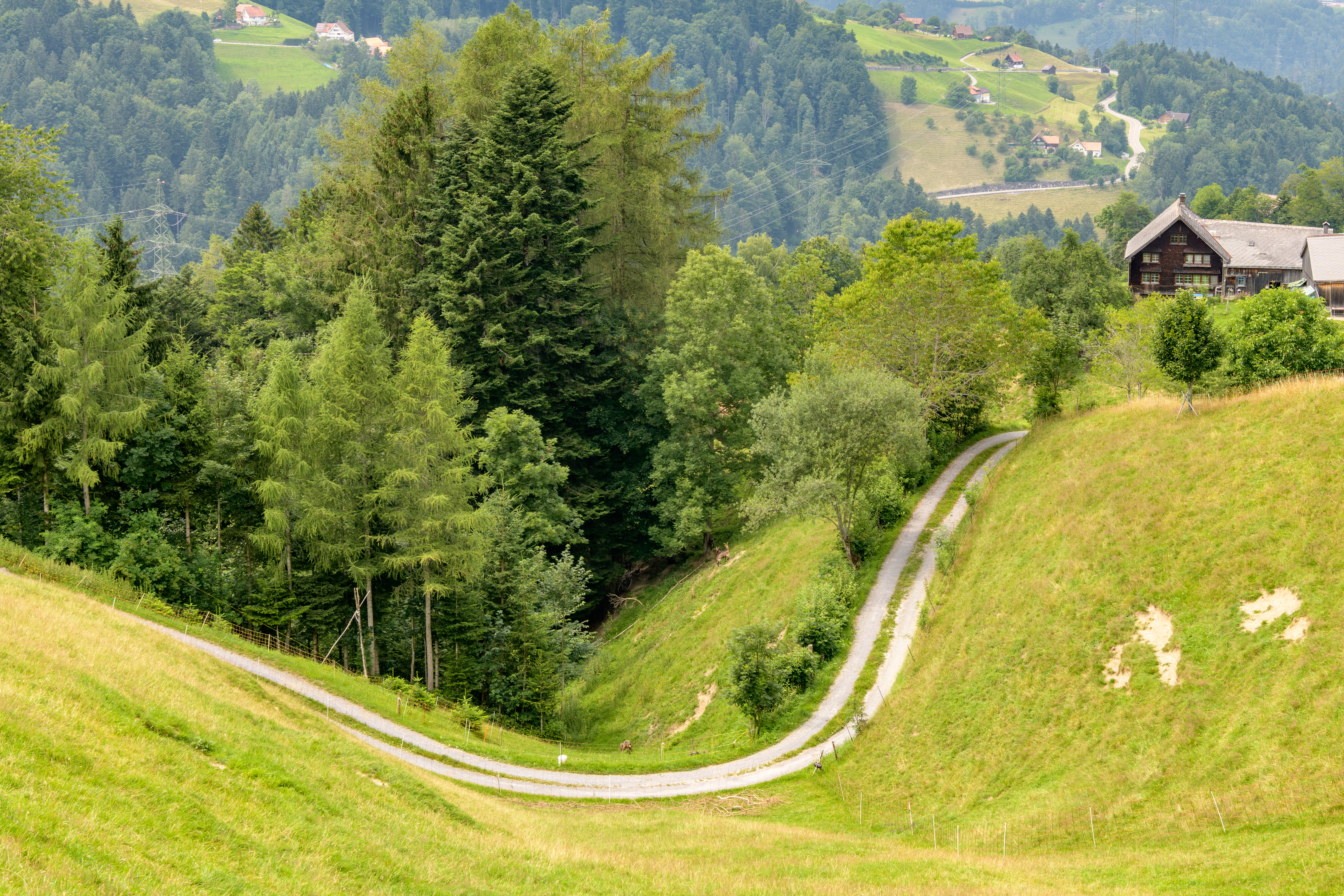 Zwischen Rehetobel und Trogen