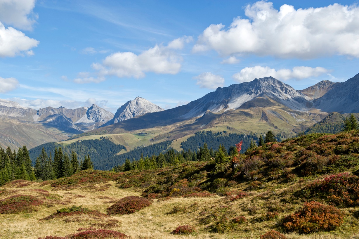 Aussichtspunkt Rot Tritt