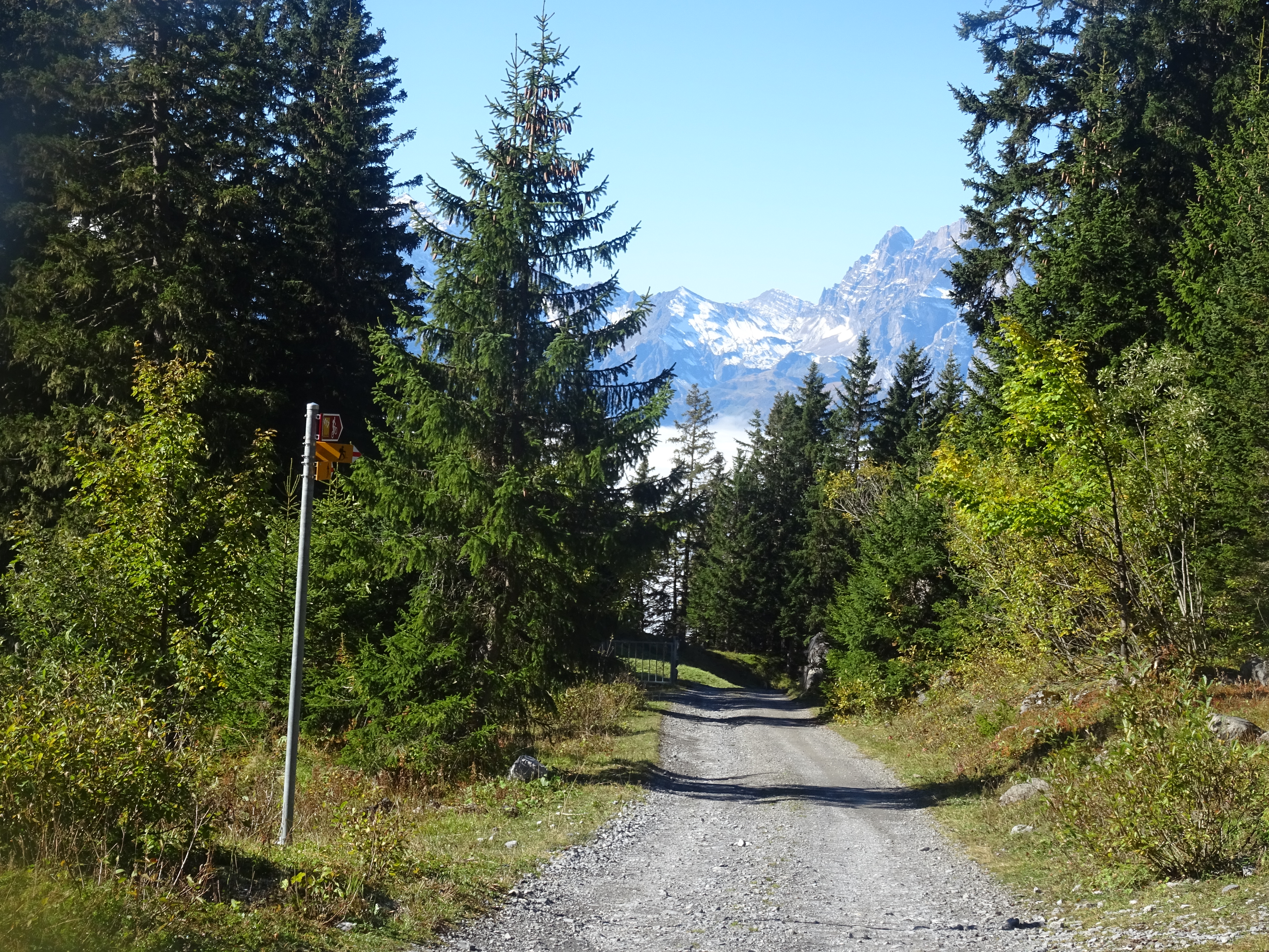 mys-Luftseilbahn Spiringen - Ratzi am Klausenpass-Herbststimmung auf dem Rundwanderweg