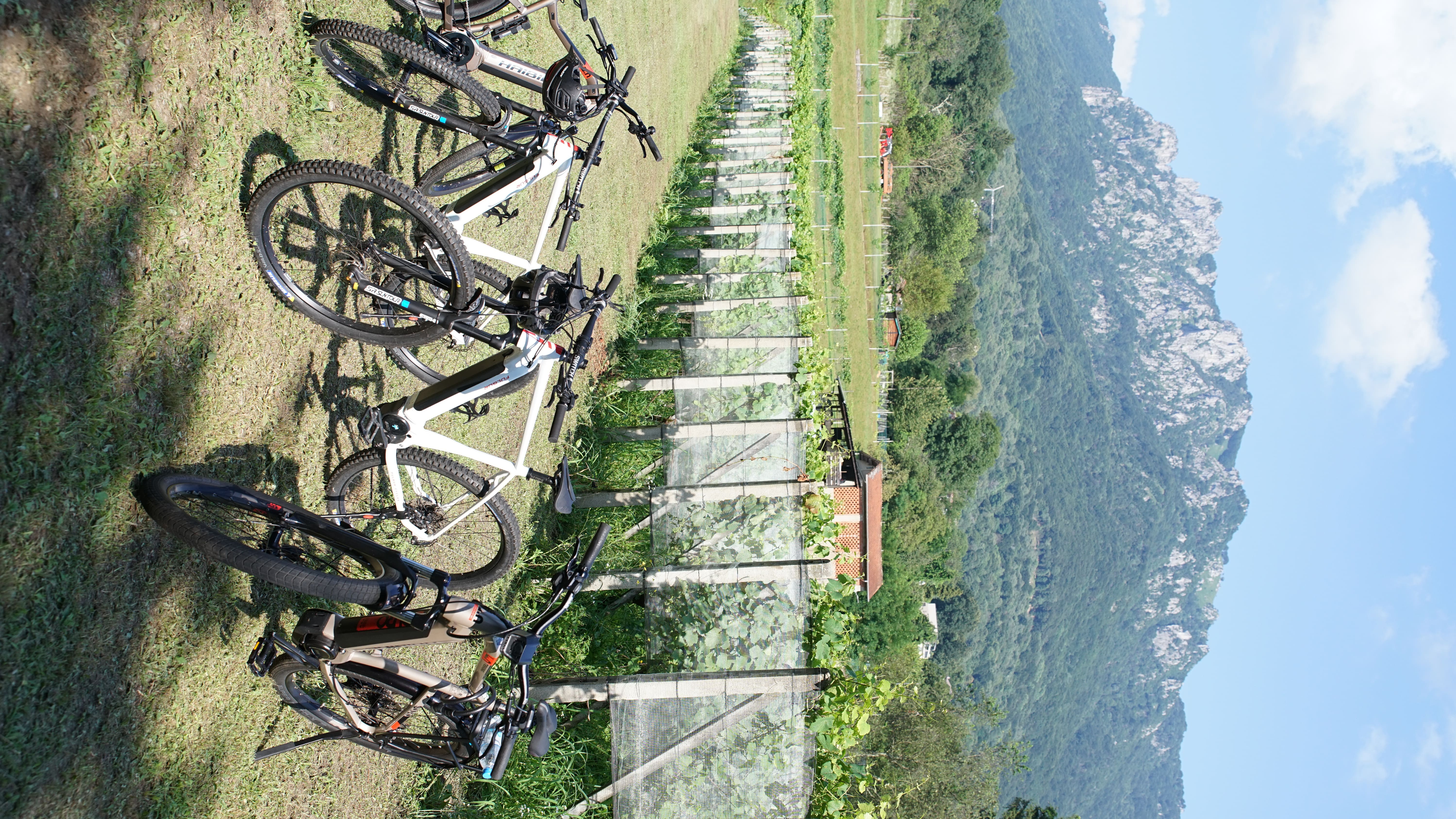 E-bike Tour