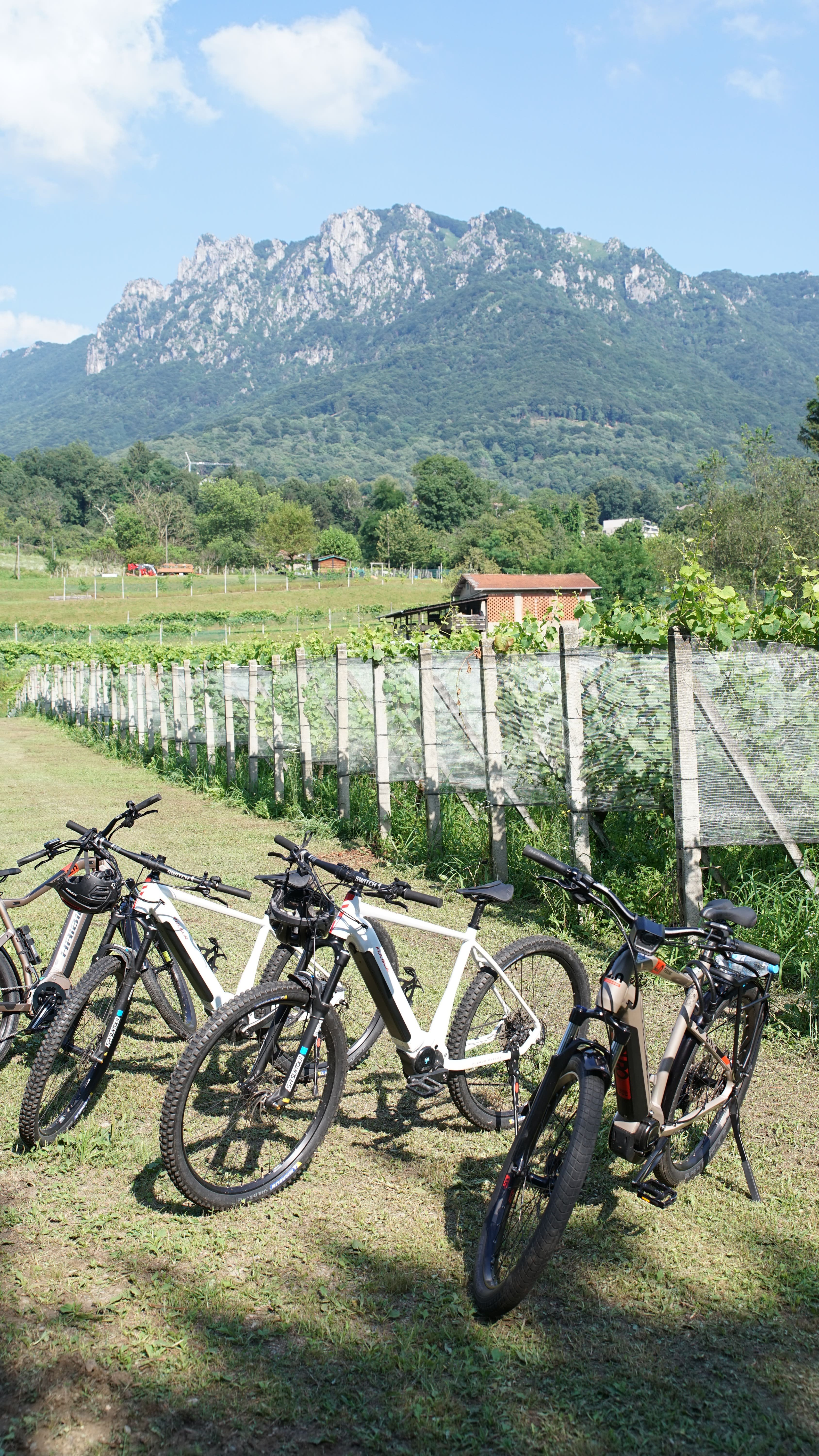 mys-Cantine Aperte in WINE UP! – Luganese e Collina d'Oro 17.05.2026-E-bike Tour