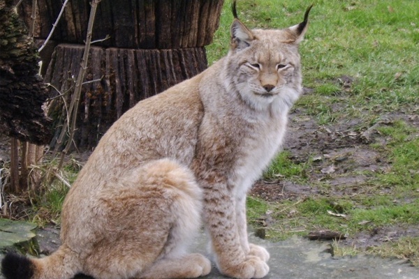 Tierpark Biel-Bözingen
