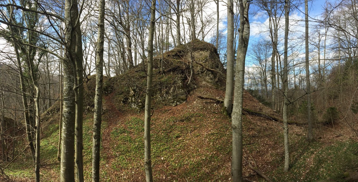 Ruine Kienberg Heidegg