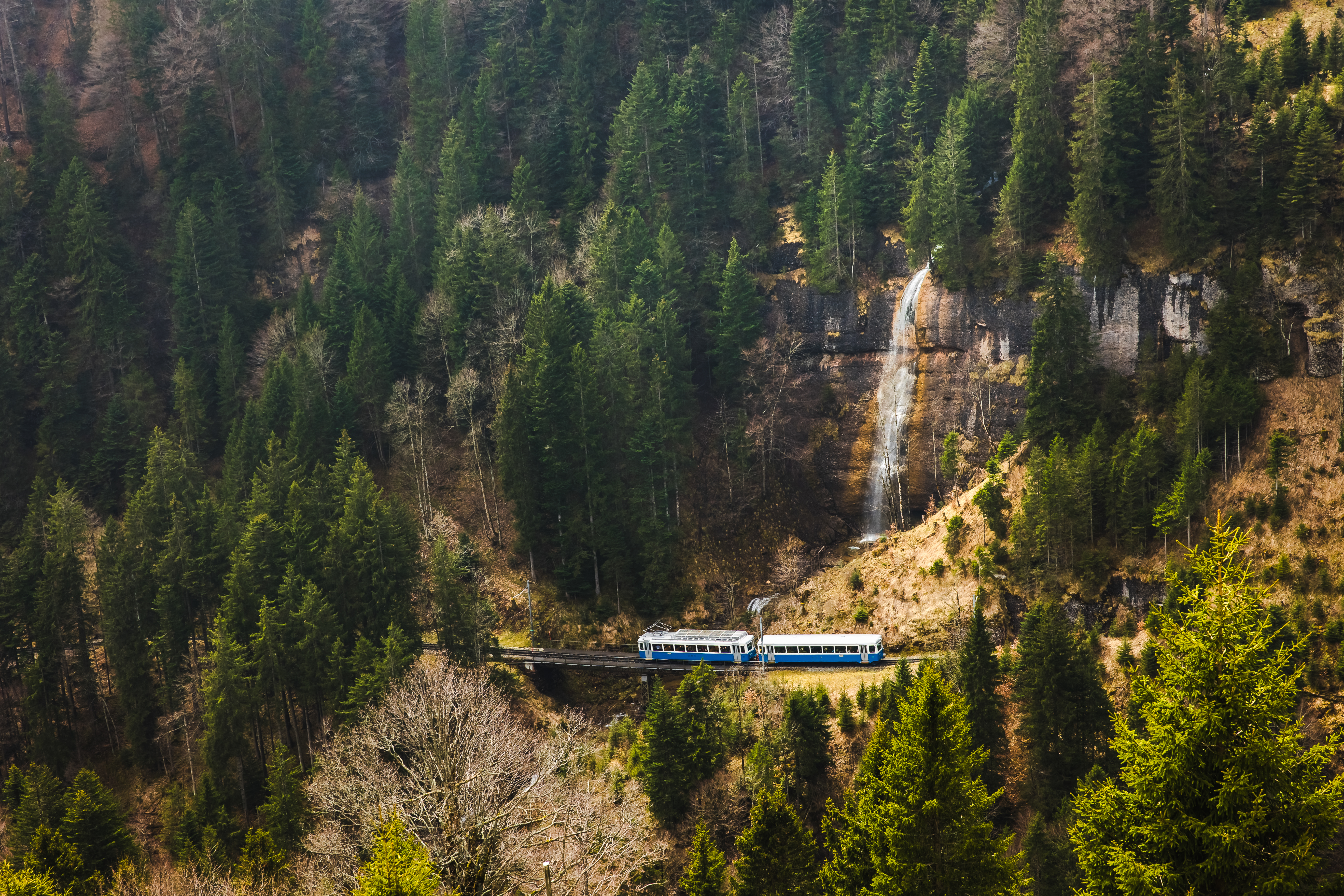 Un treno a cremagliera bianco e blu del Rigi attraversa la foresta sotto una cascata, tra Arth-Goldau e Rigi Kulm.