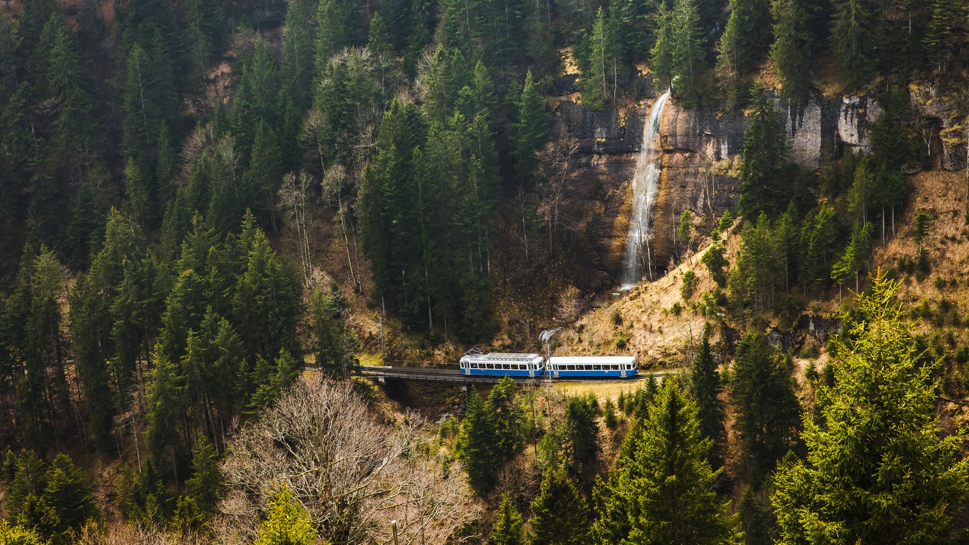 A blue and white cogwheel train of the Rigi Railways passes through the forest beneath a waterfall on its way from Arth-Goldau to Rigi Kulm.