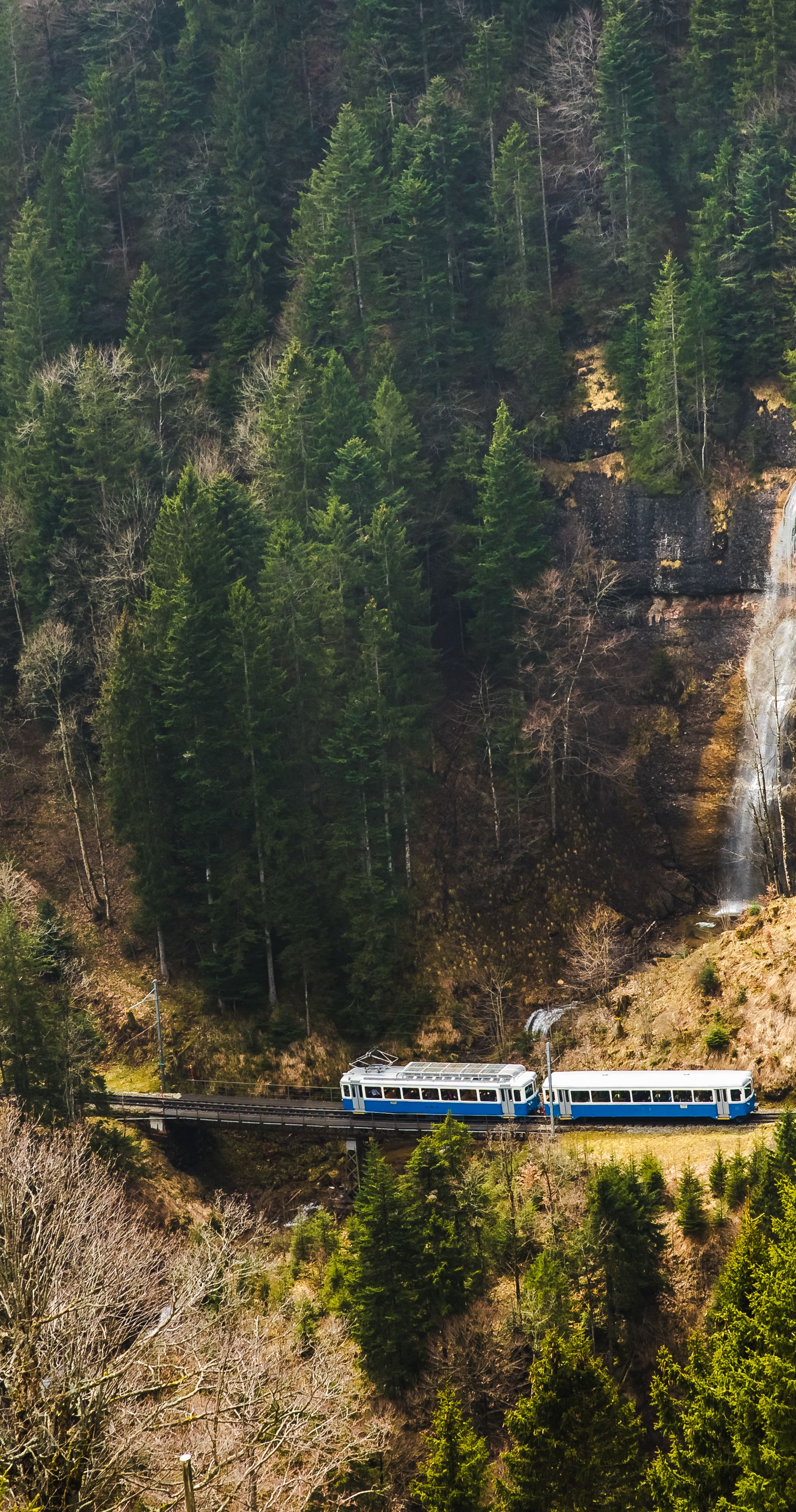 A blue and white cogwheel train of the Rigi Railways passes through the forest beneath a waterfall on its way from Arth-Goldau to Rigi Kulm.